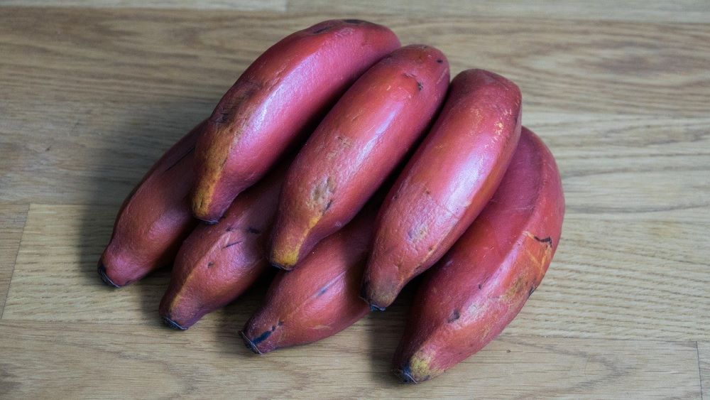 Banane rosse
