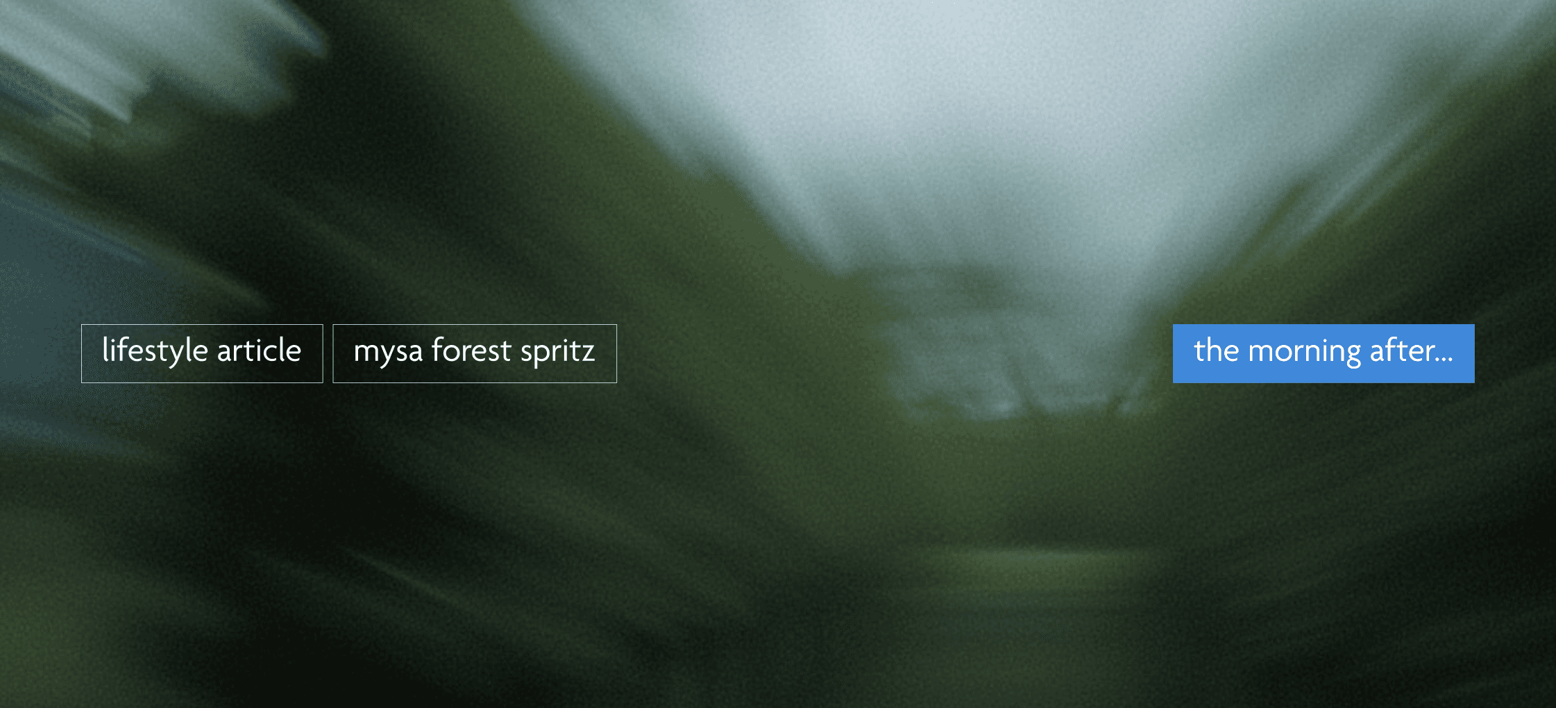 blurred vineyard where mysa grapes come from