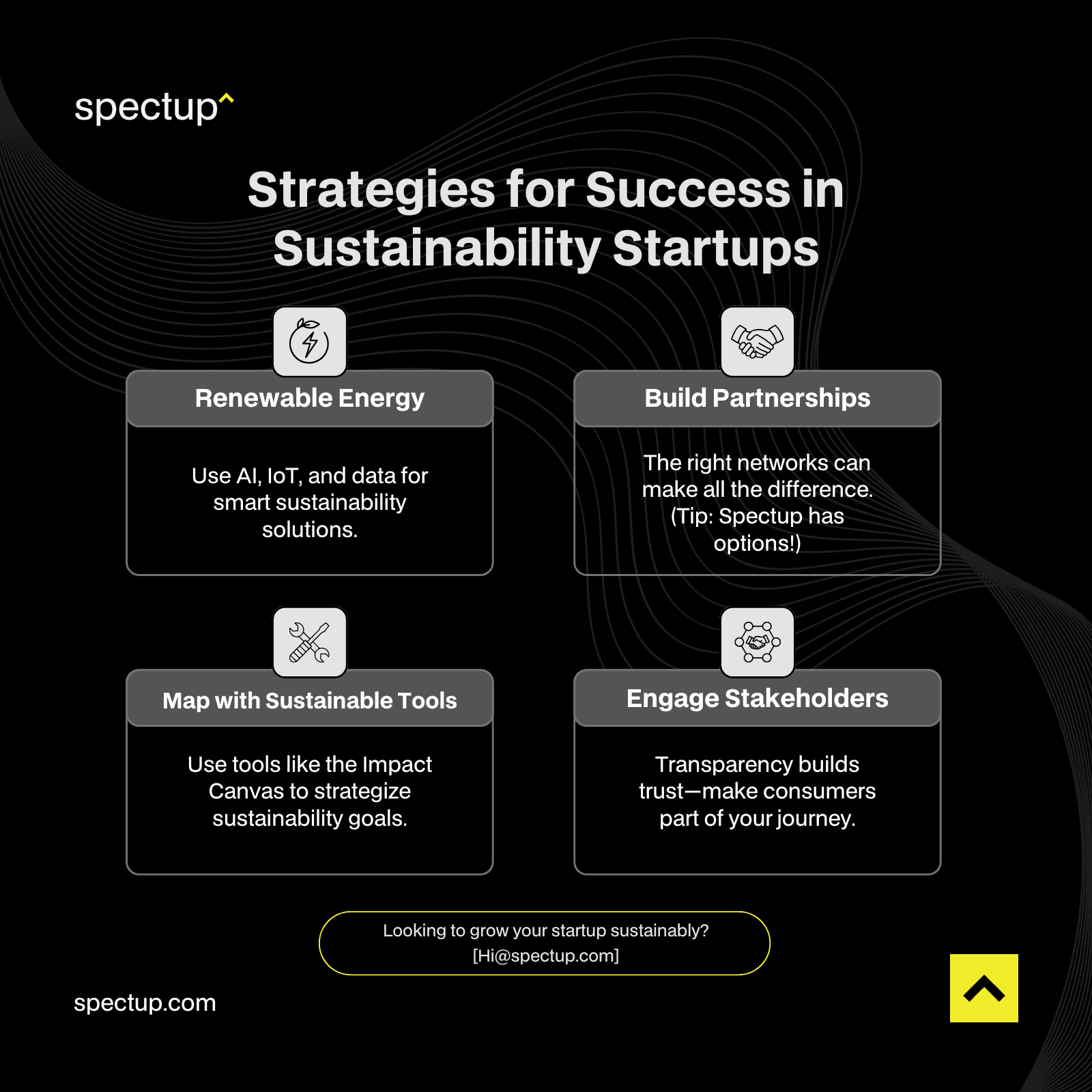 Strategies for Success in Sustainability Startups