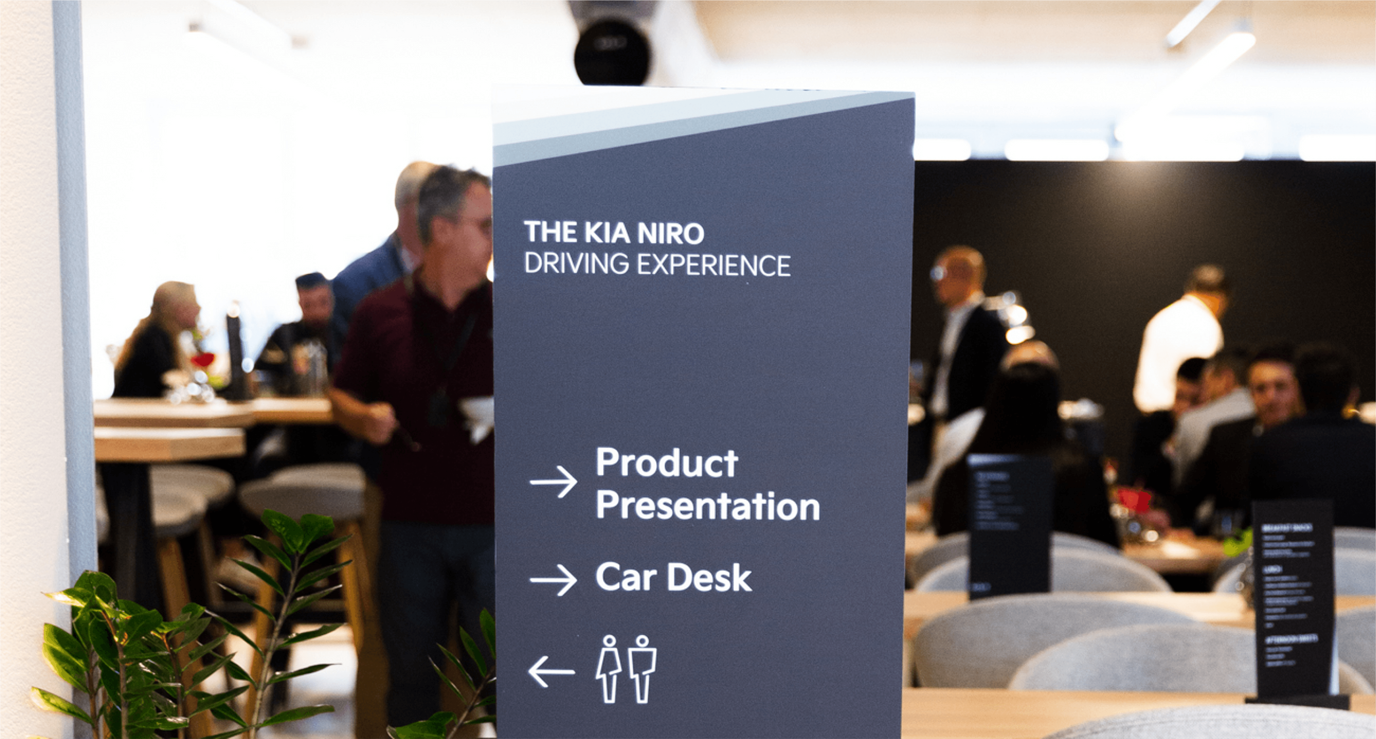 Lush garden with blooming hydrangeas and a house