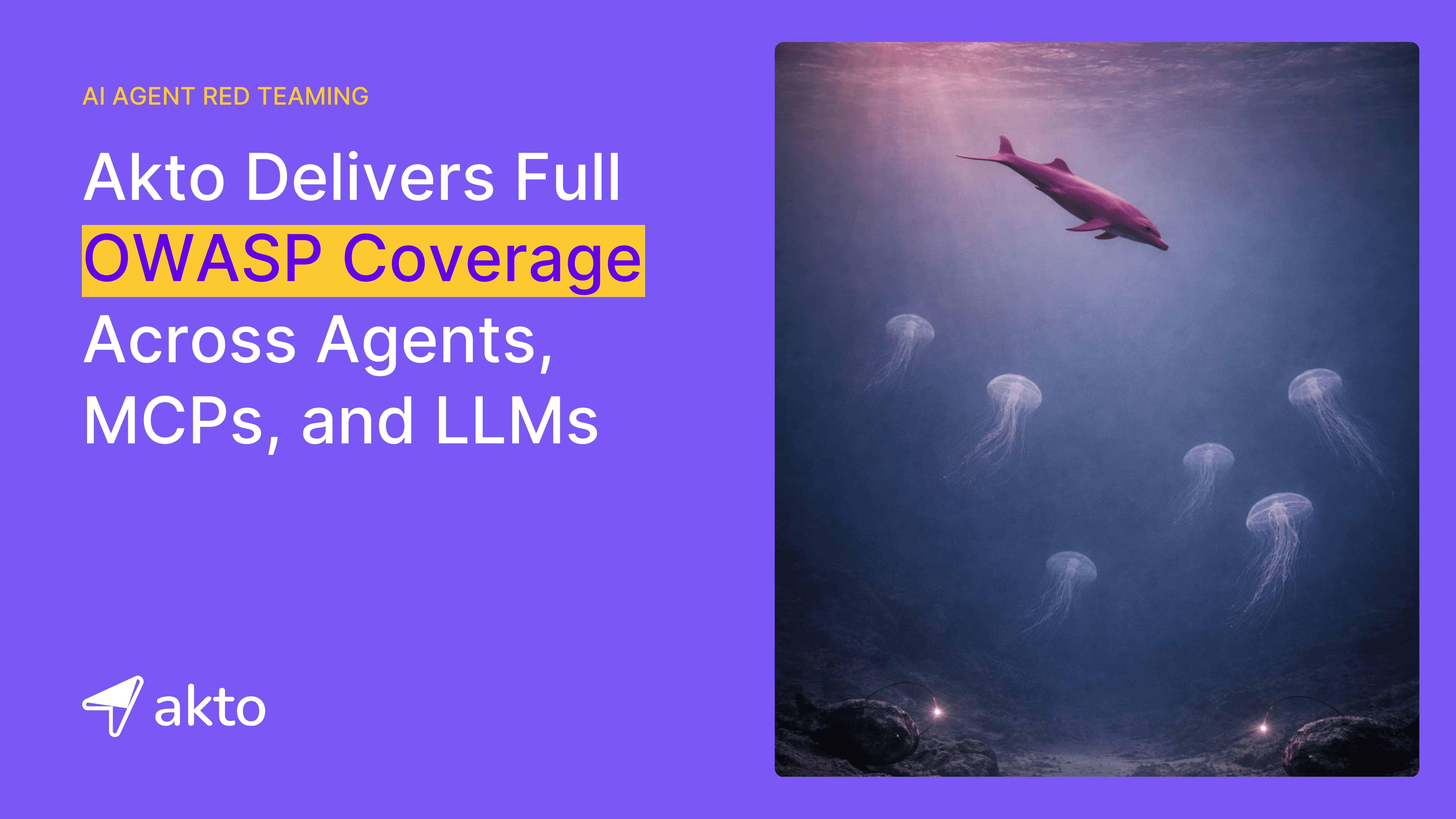 Akto Redteaming Covers OWASP and other security frameworks