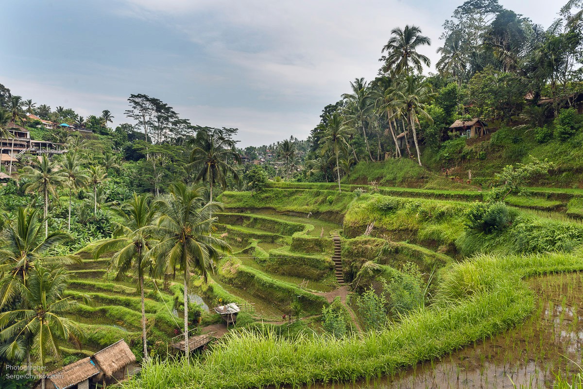 Bali by Sergei Chyrkov. Бали, фотограф Сергей Чирков