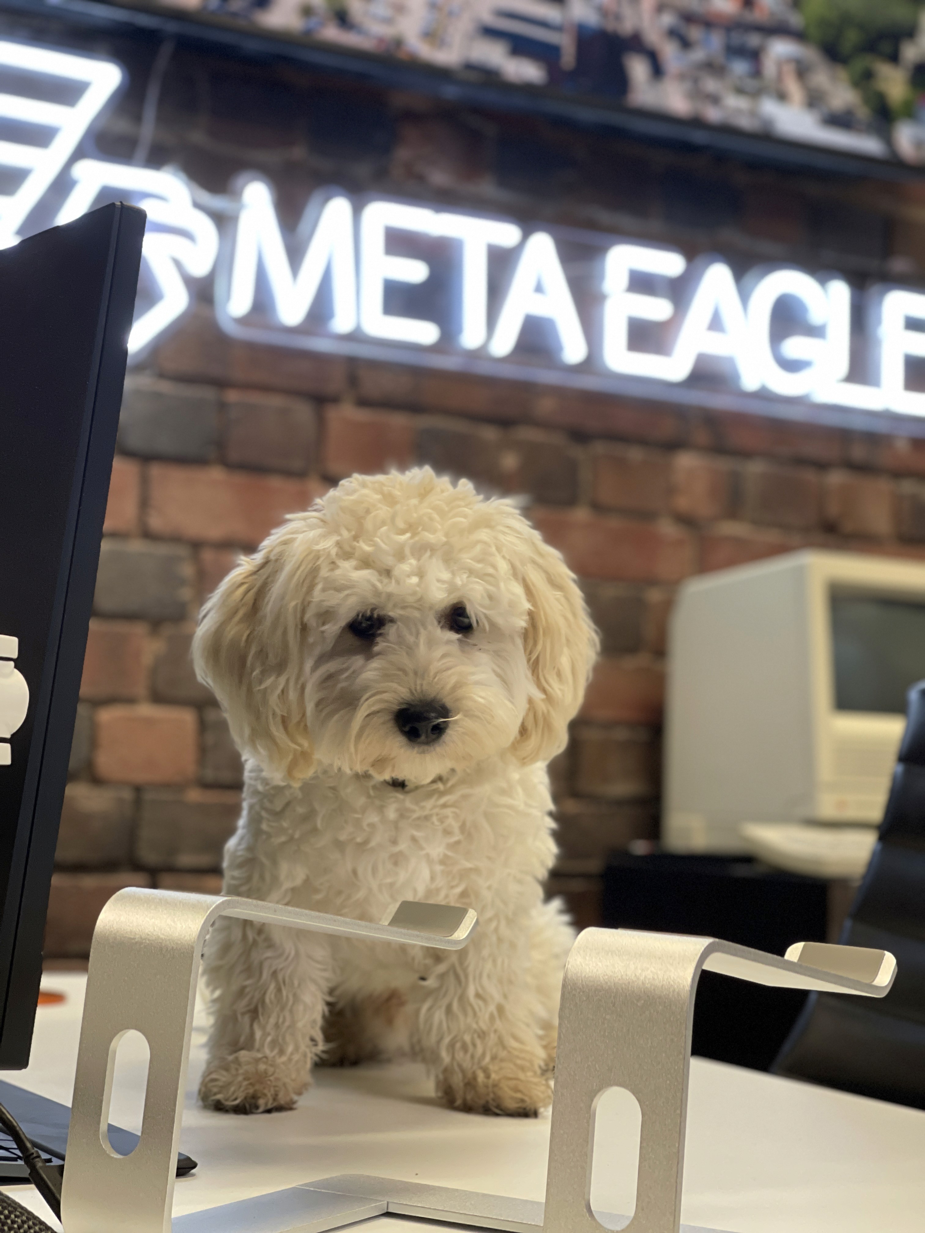 A woman with short curly hair wearing a black t-shirt looks into the camera.