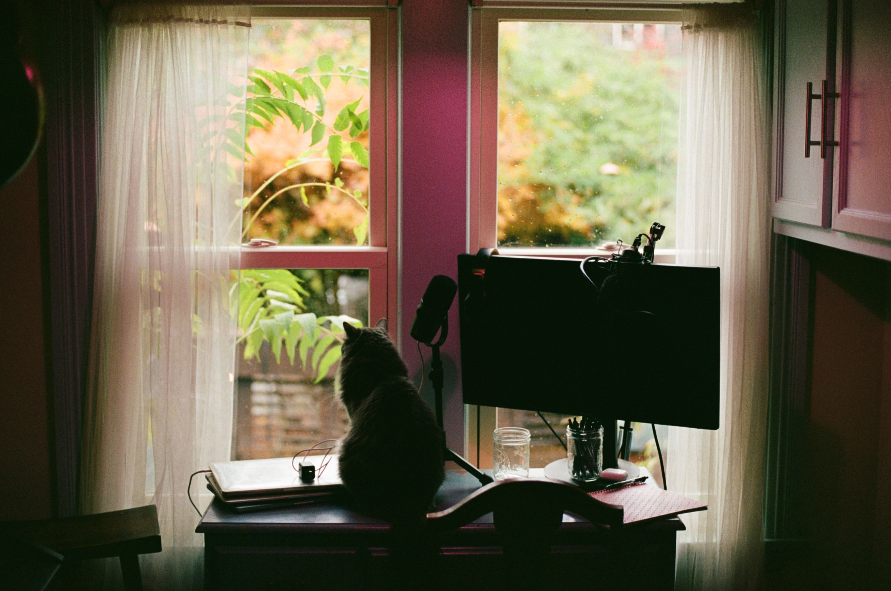 Is Working From Home Killing Community?