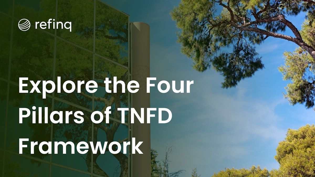 TNFD