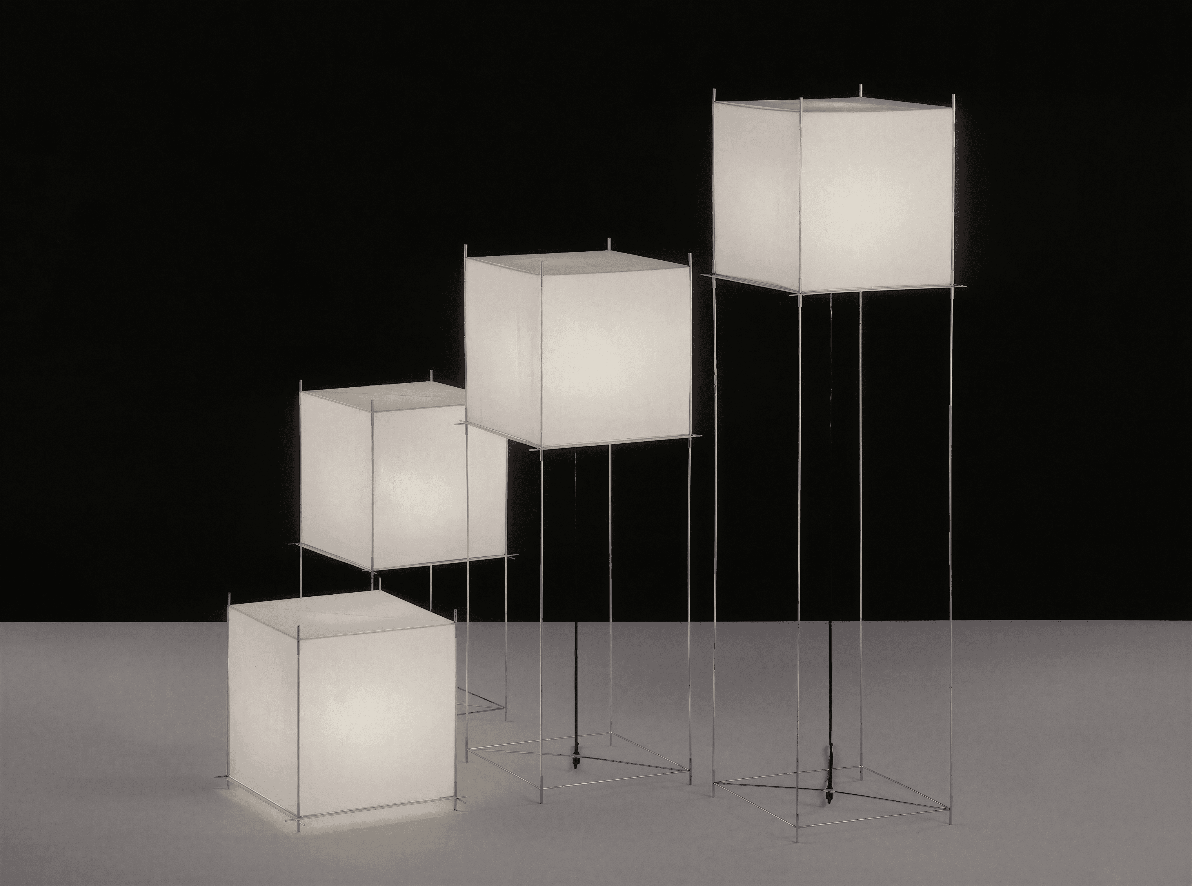 Hollands Licht
