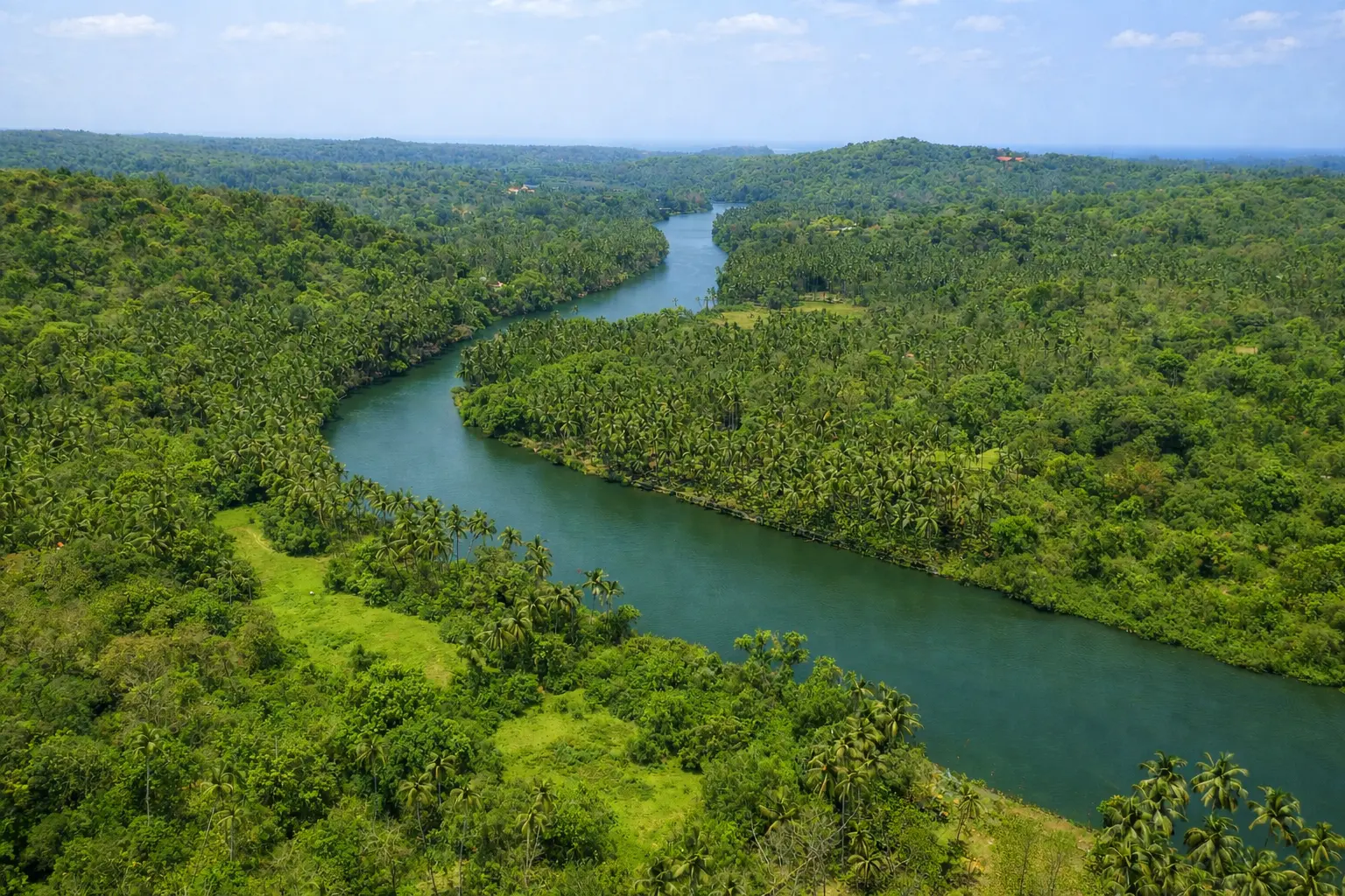 Aerial view of the Talpona River winding through palm forest in South Goa