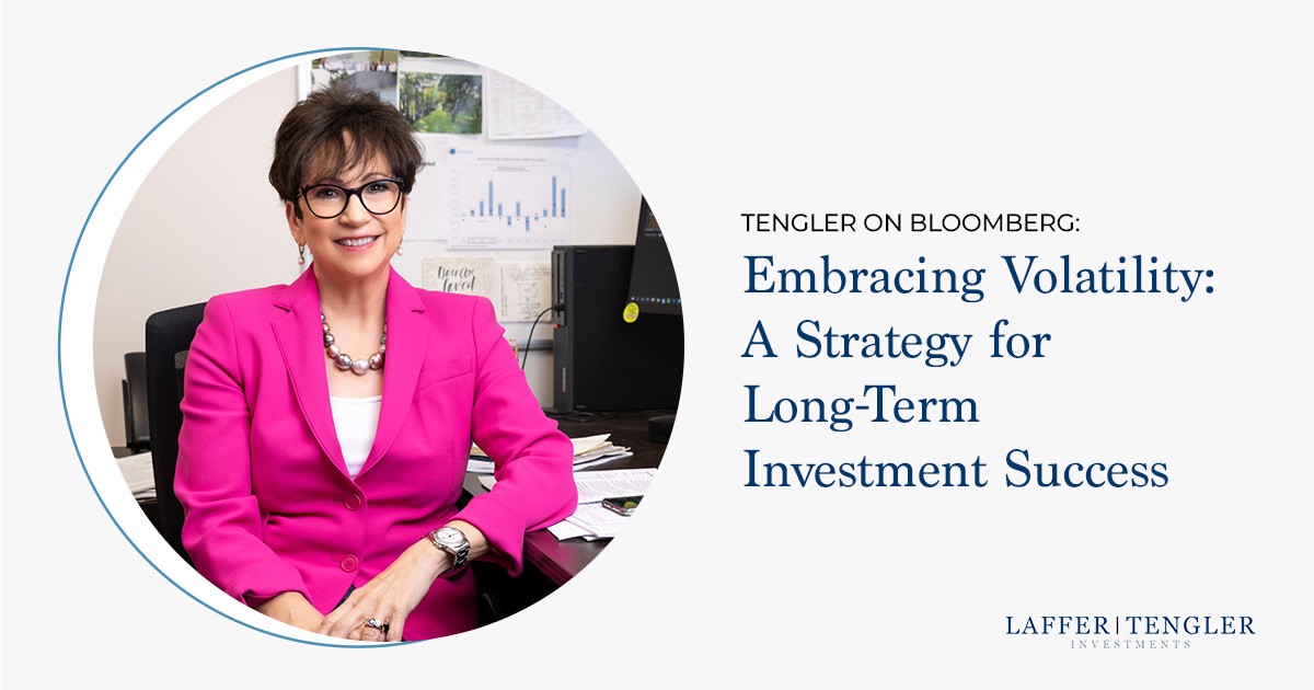 Embracing Volatility is a Strategy for Long-Term Investment Success