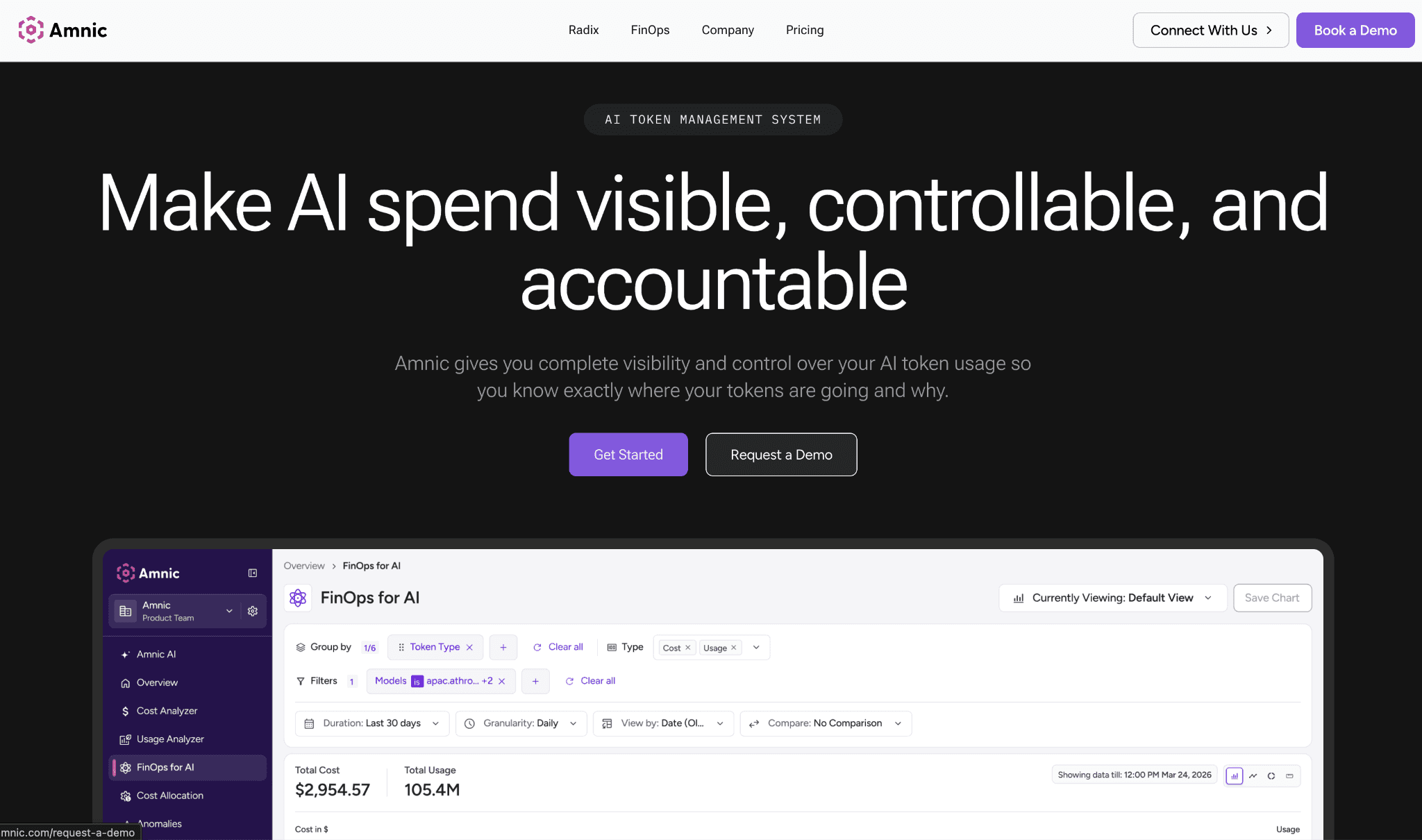 Amnic AI Token Management