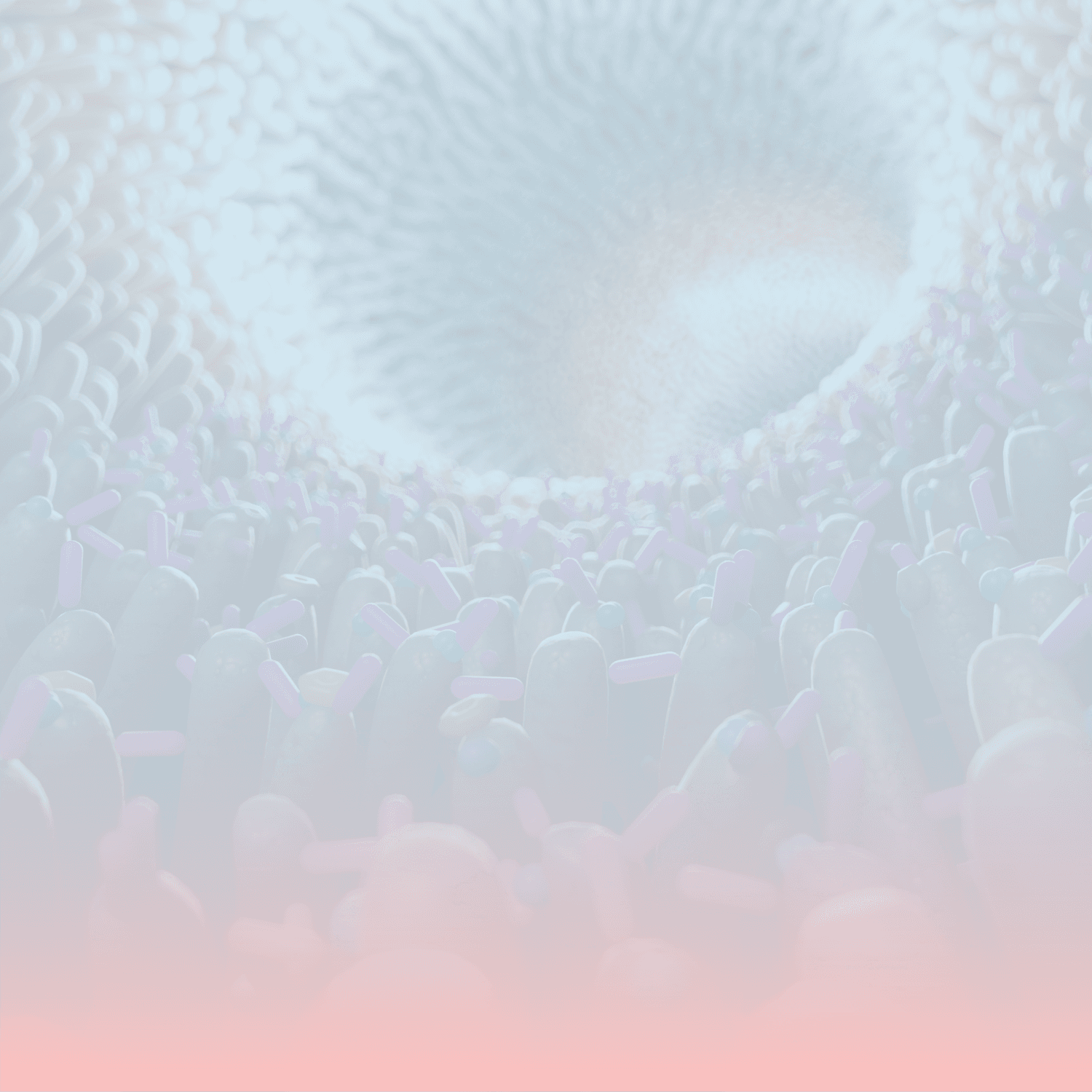 Gut Health Header