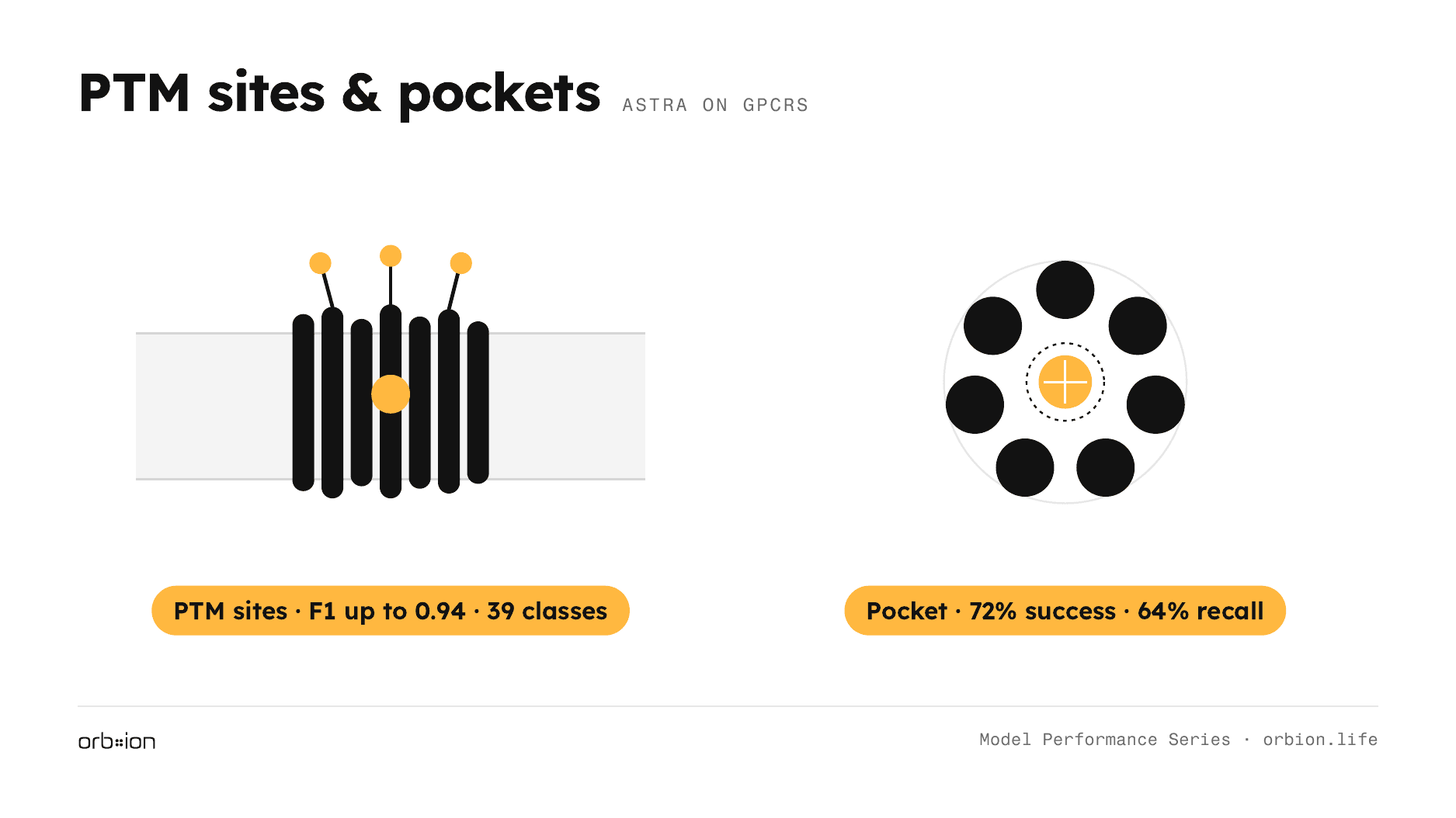 PTM-site prediction (F1 up to 0.94) and binding-pocket triage (72% pocket-success)