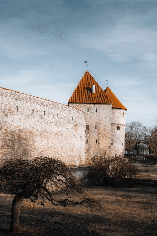 Medieval stone castle wall and tower with orange roofs against a pale sky.