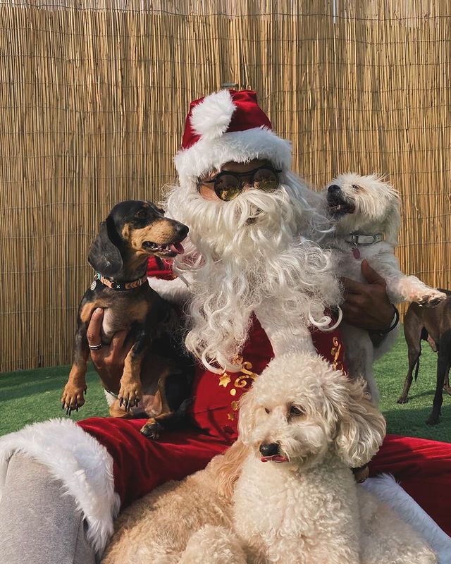 Our pets with Santa