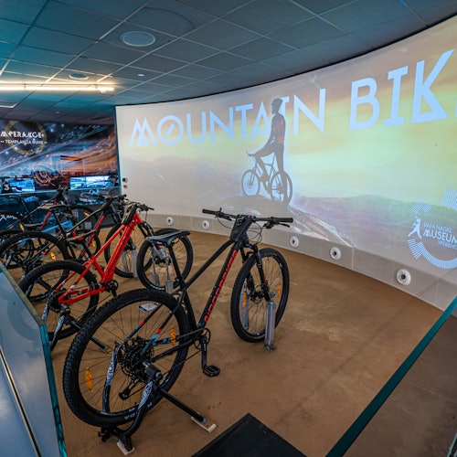 Mountain bike simulator. Using hydraulic technology, visitors make a descent down the mountain. It looks like the real thing!