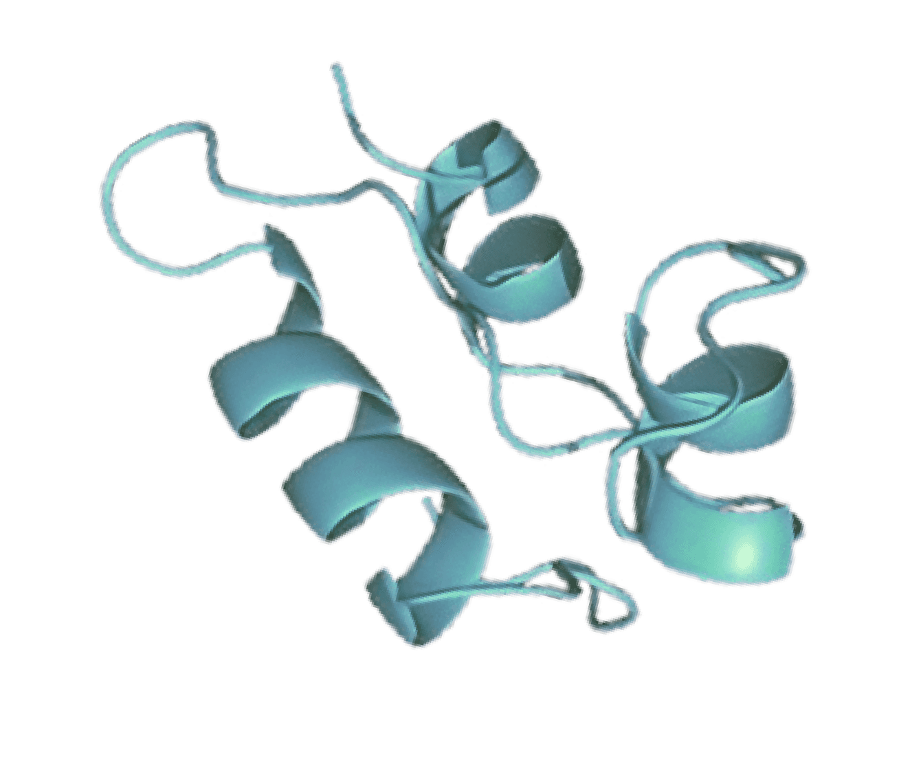 Image of a Protein