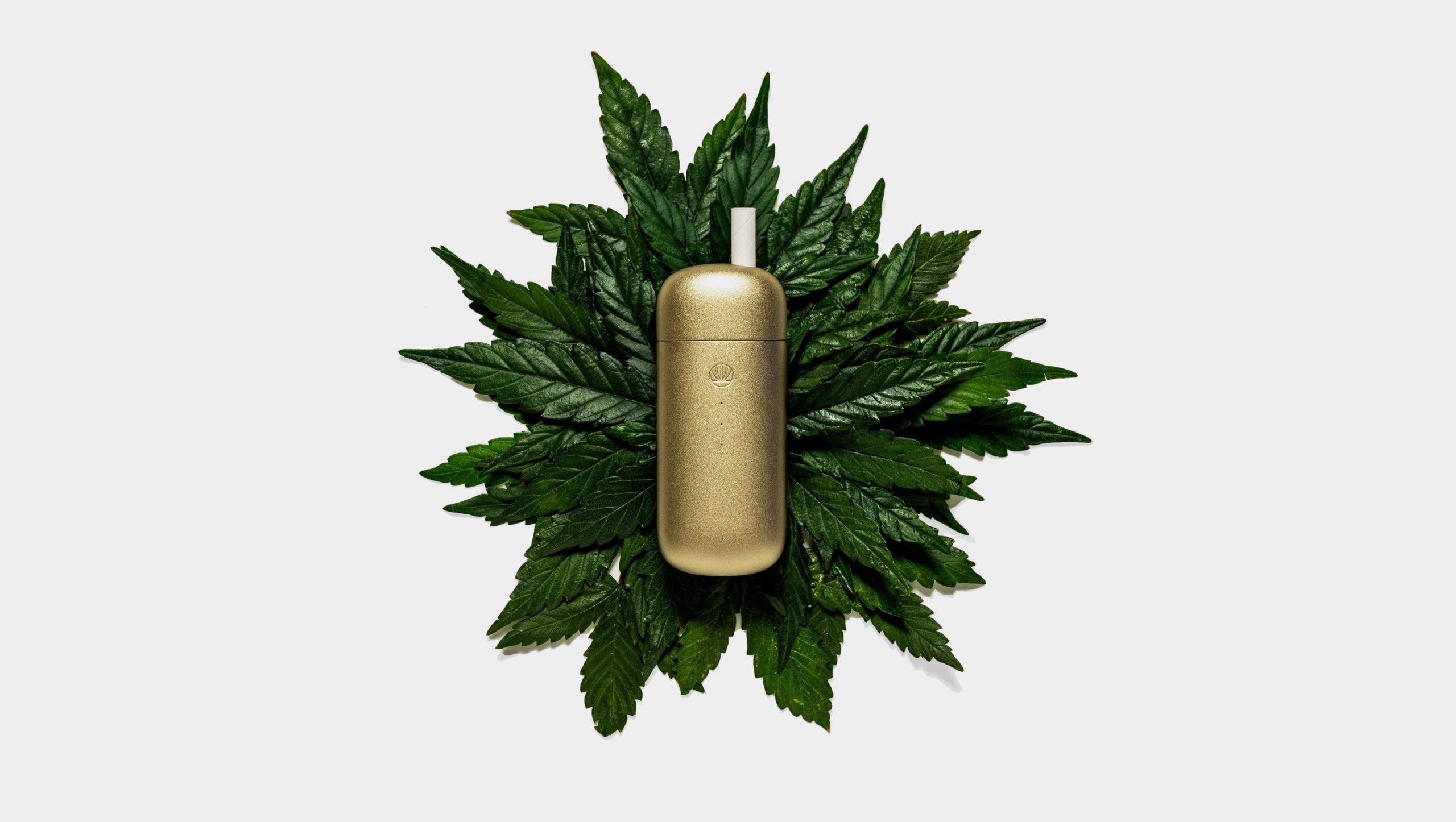 Dom Pérignon vineyards from the sky