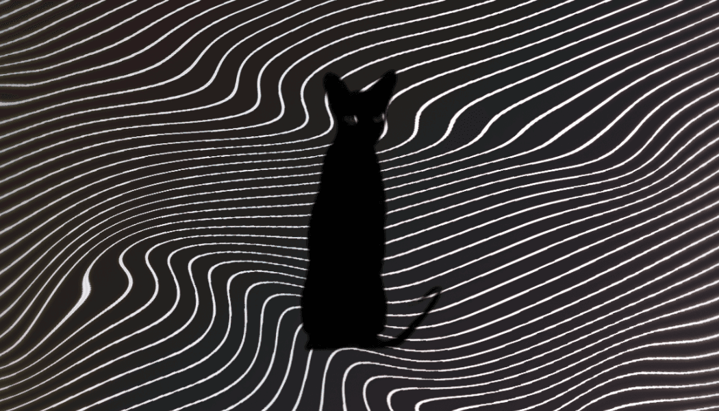 SphynxLinks | Custom healthcare software development team at work