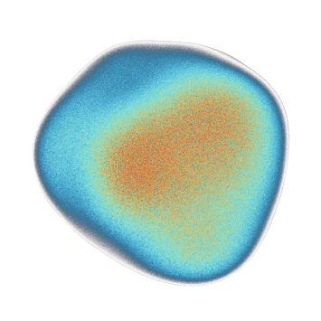A fluid, organic shape representing a 'Capsle' voice memory.
