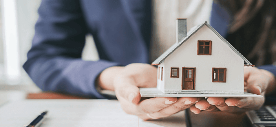 Creating Attractive and Functional Websites Introduction