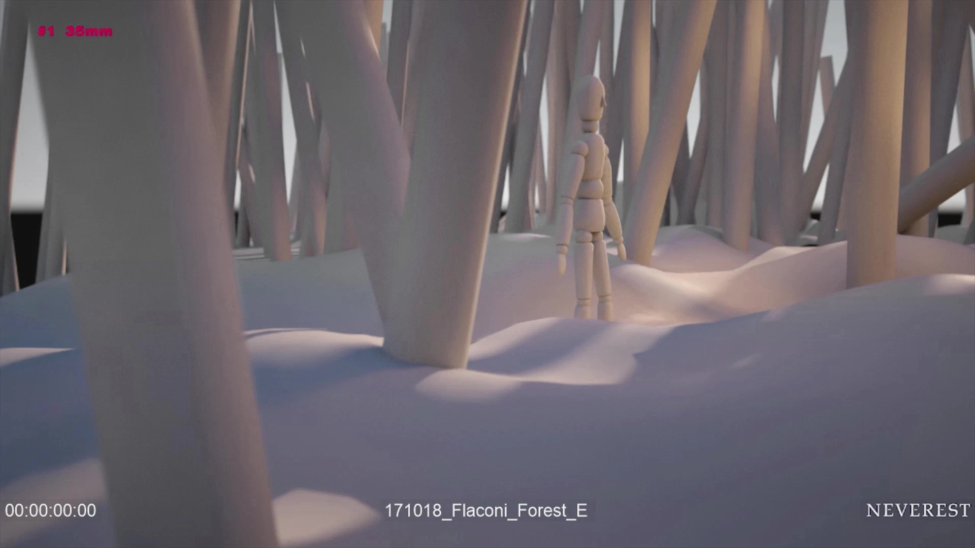 Layout of a Mannequin in a forest