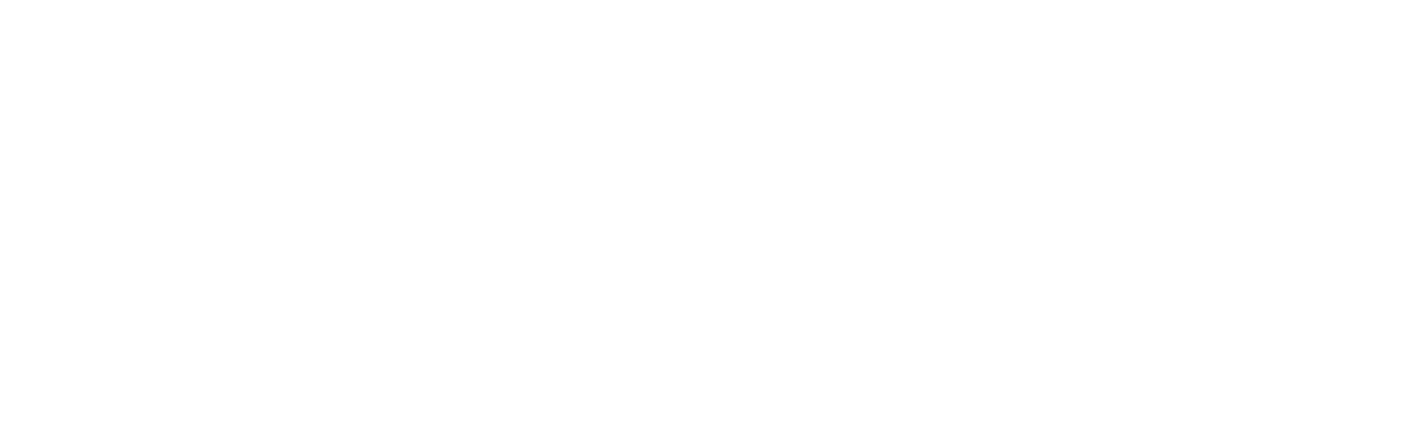 Dynamis Association