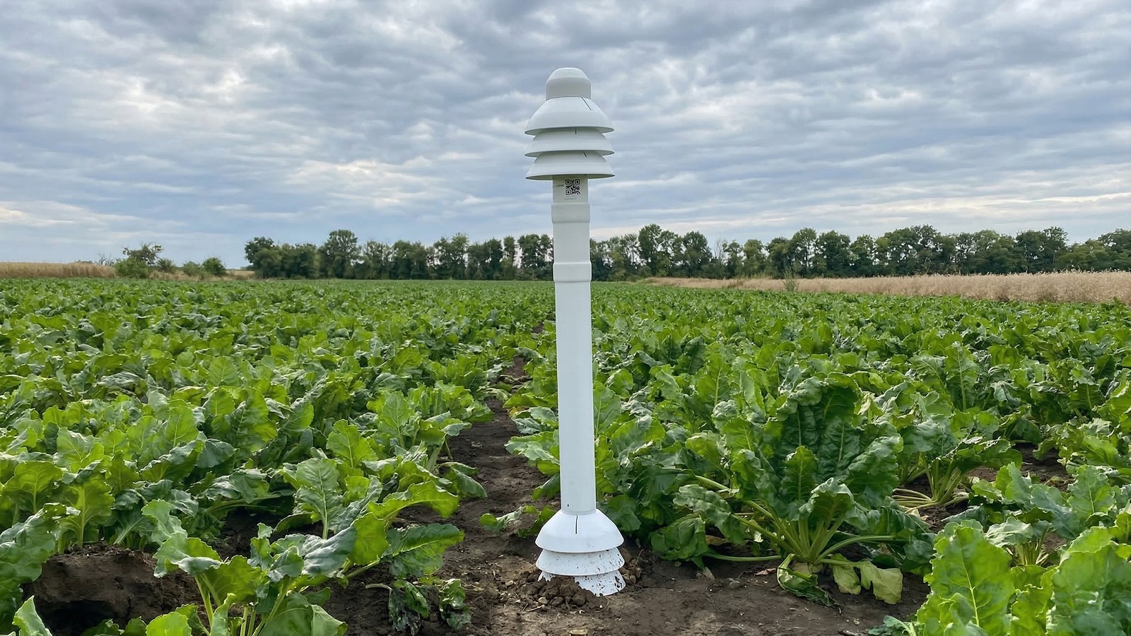 CCI – Water Replenishment Programs