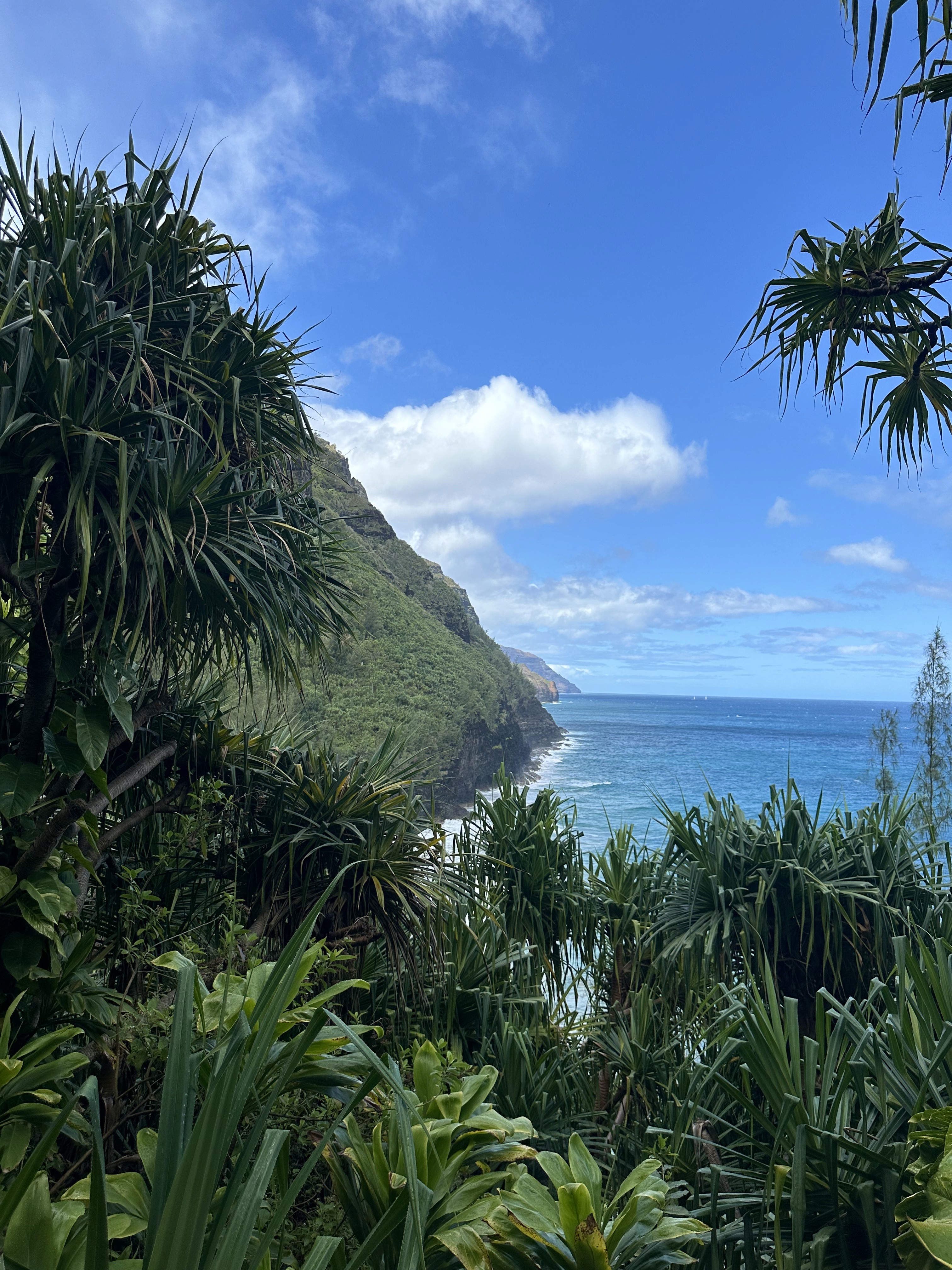 Kalalau Trail view