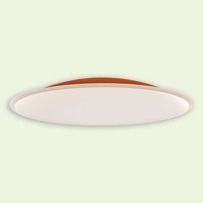 Fiberglass Ceiling Dome CD89x16 B45