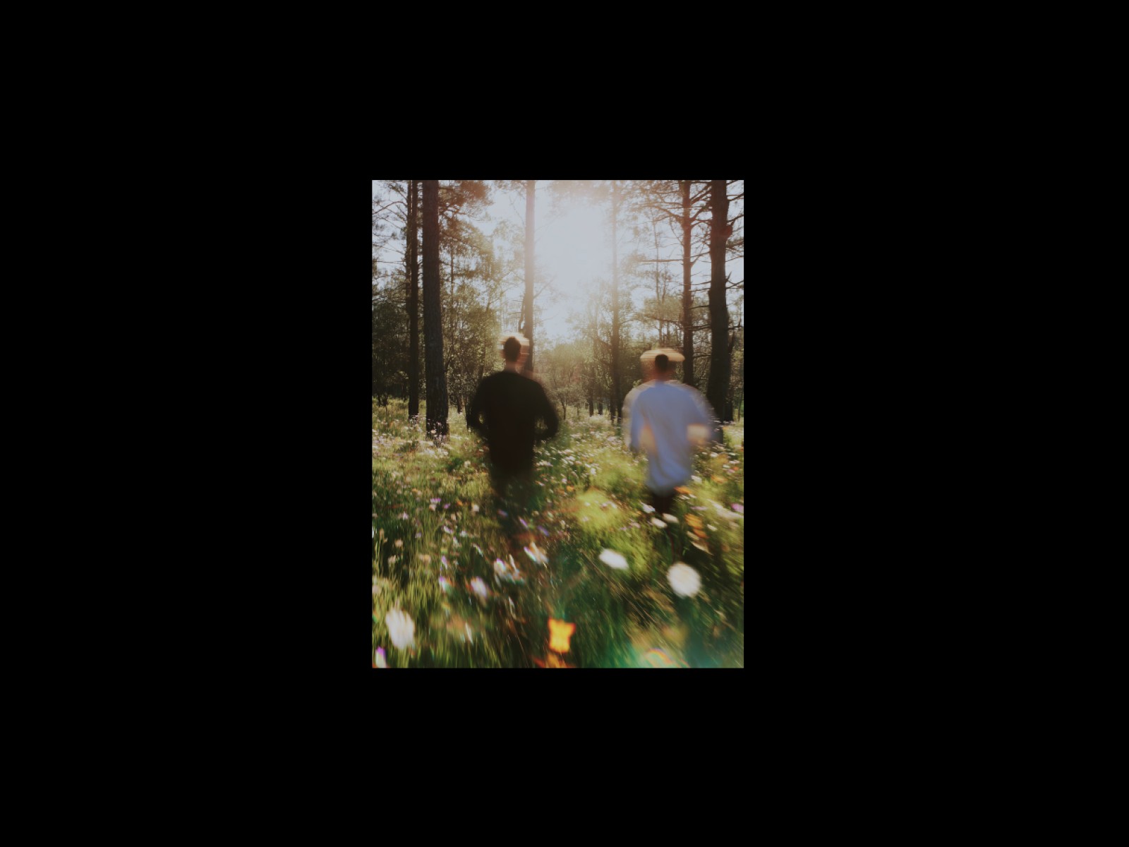 Framer Image Reveal Code Component