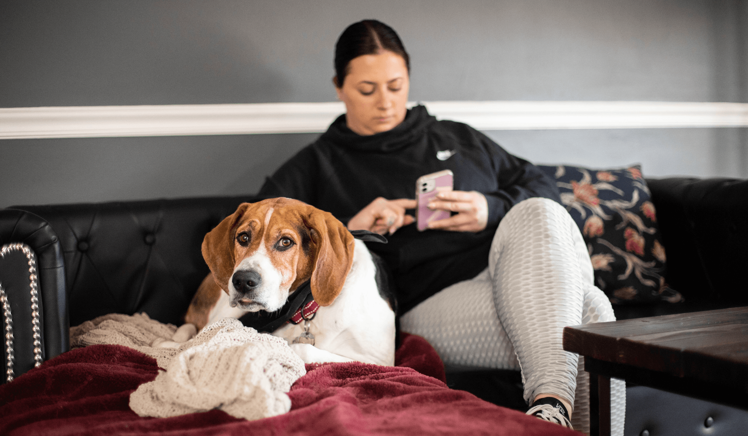 Enhancing Clinic Efficiency: How Automated Veterinary Reminder Systems Reduce No-Shows