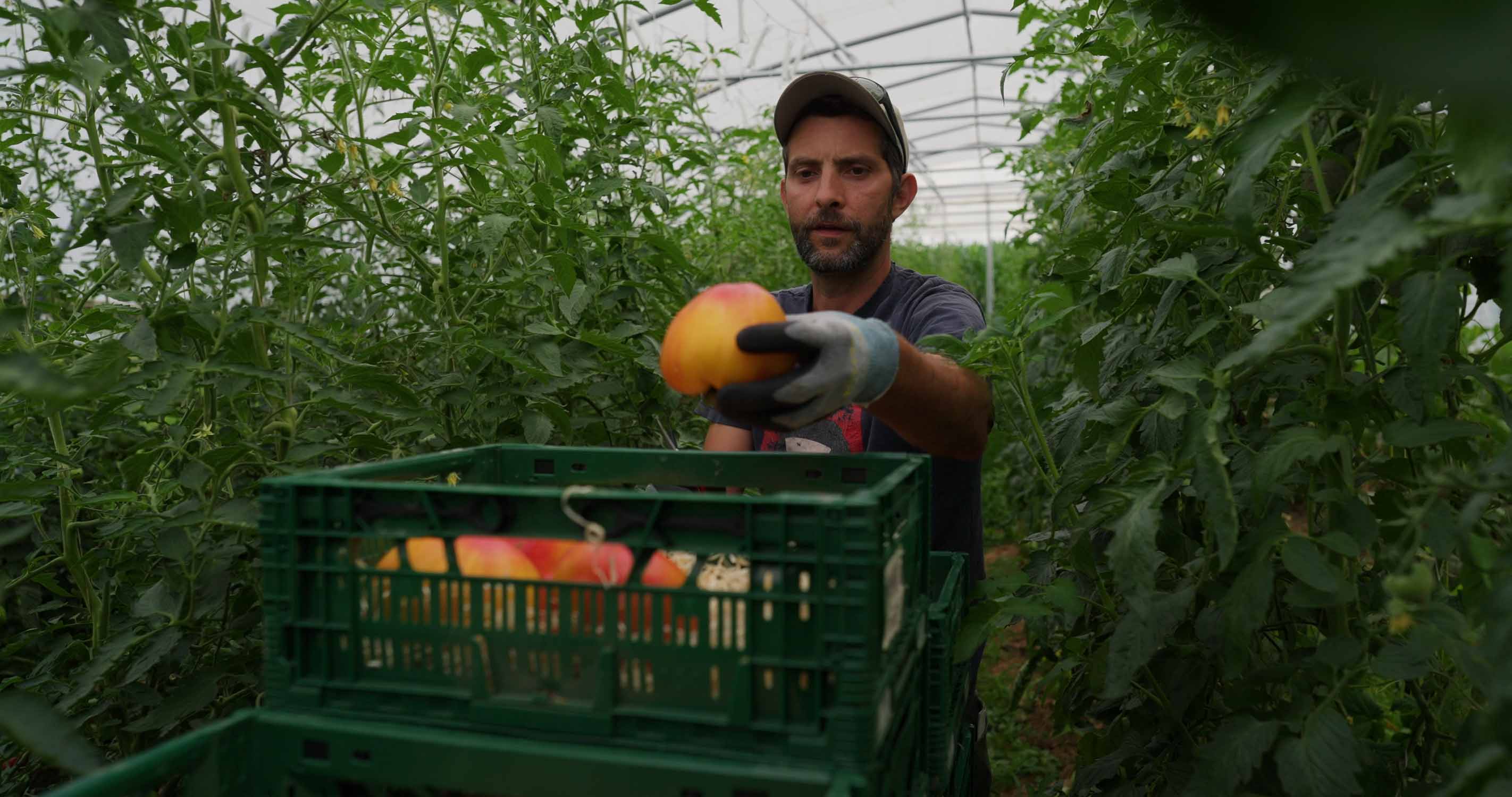 Streetside billboard with flyposters of the Batch.Works brand and illustrations