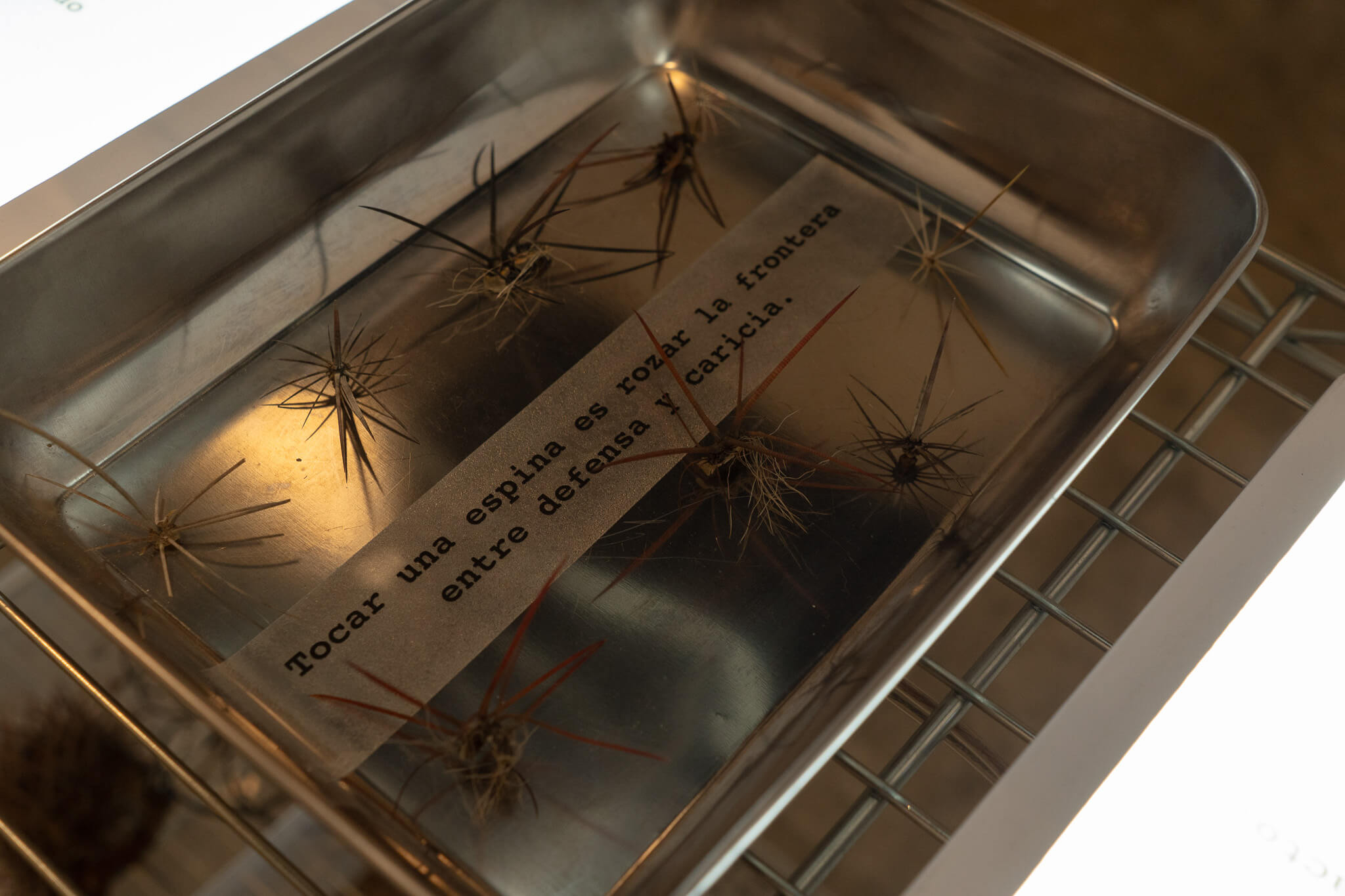 carlos vargas pons "metrópolis" en arte actual galería made week 2025 Arte y diseño en Monterrey