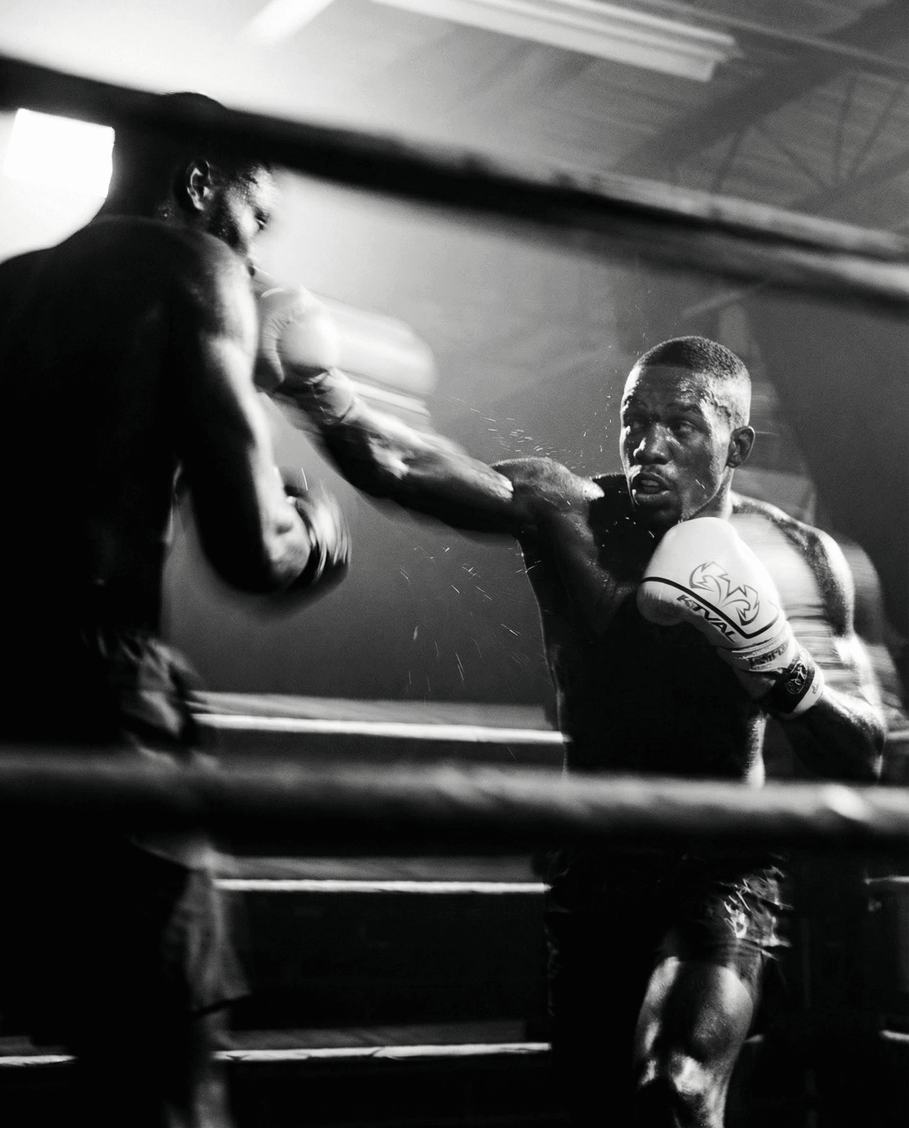 Batch.Works product catalogue book on a work top with a graphic printed image on the front