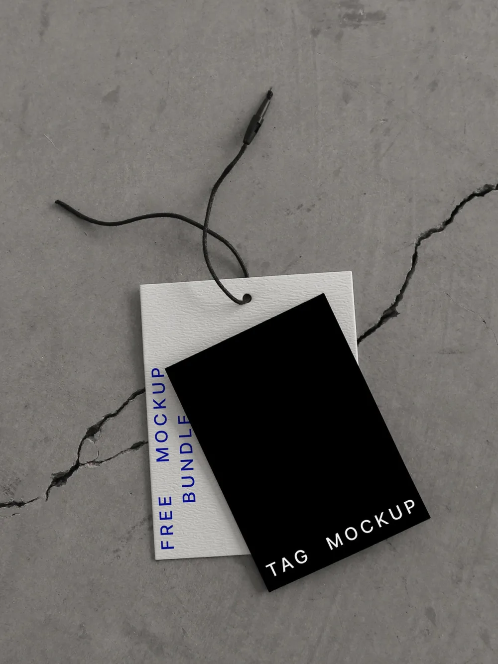 Two rectangular tag mockups, one white with embossed texture and blue text, and the other black with white text, resting on a cracked concrete surface. A black string with a metal clasp is attached.