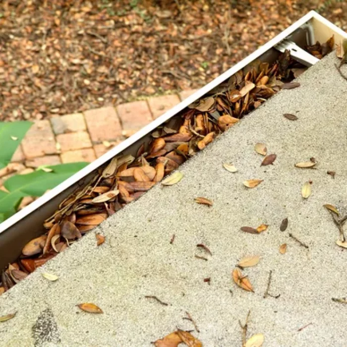 Technician removing leaves and debris from a clogged gutter on a Hilton Head home.