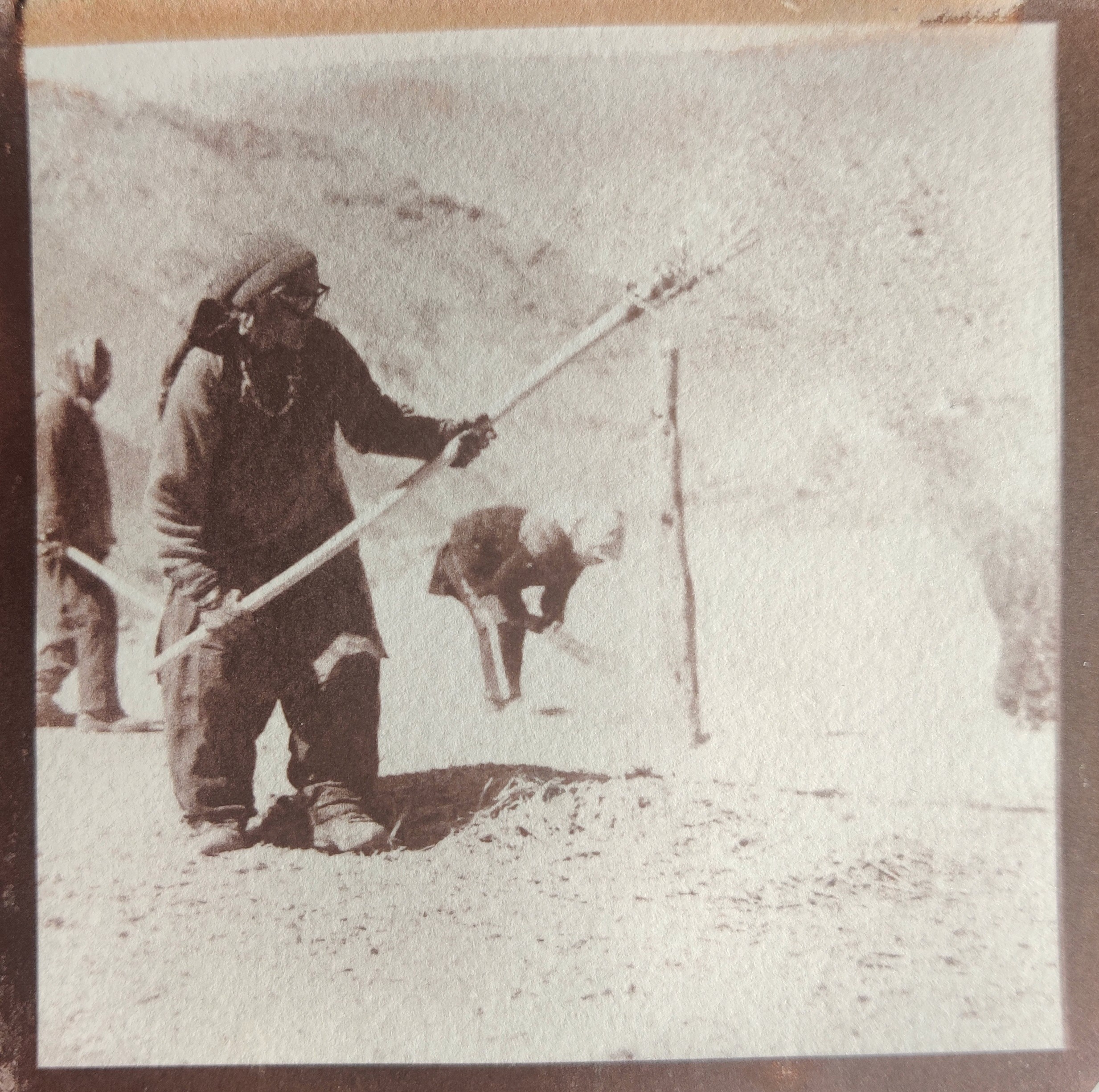 herd of sheep on road painting