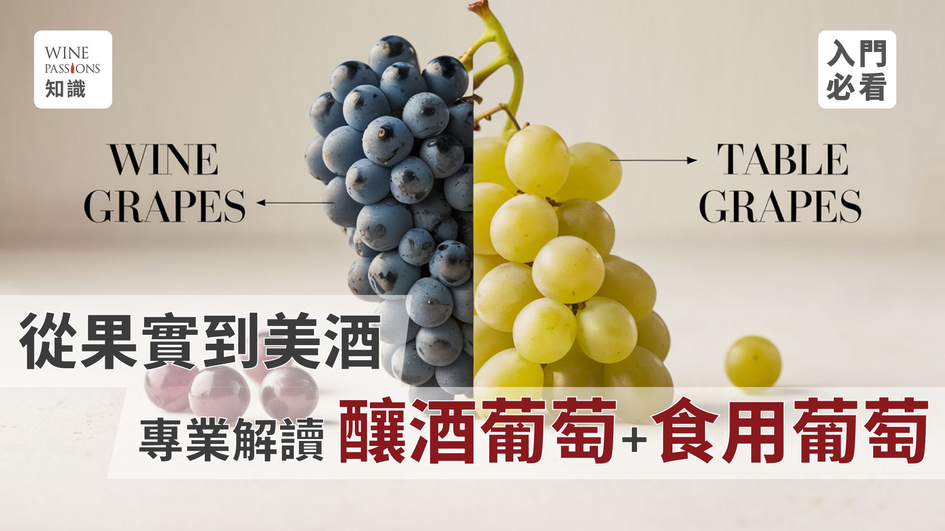 grape varieties differences wine grape features table grape attributes grape varieties English names wine fermentation process wine grapes vs table grapes cultural value of grape varieties impact of grapes on winemaking 麝香 葡萄 巨峰葡萄 釀酒葡萄vs食用葡萄 釀酒酵母 比例 葡萄酒 做法 葡萄樹 品種 法國葡萄品種 酒發酵 原理 葡萄品種有哪些 釀酒葡萄特色 食用葡萄特徵 葡萄品種英文 白酒葡萄品種 小葡萄品種 白葡萄酒品種 常見葡萄酒品種 如何選擇釀酒葡萄