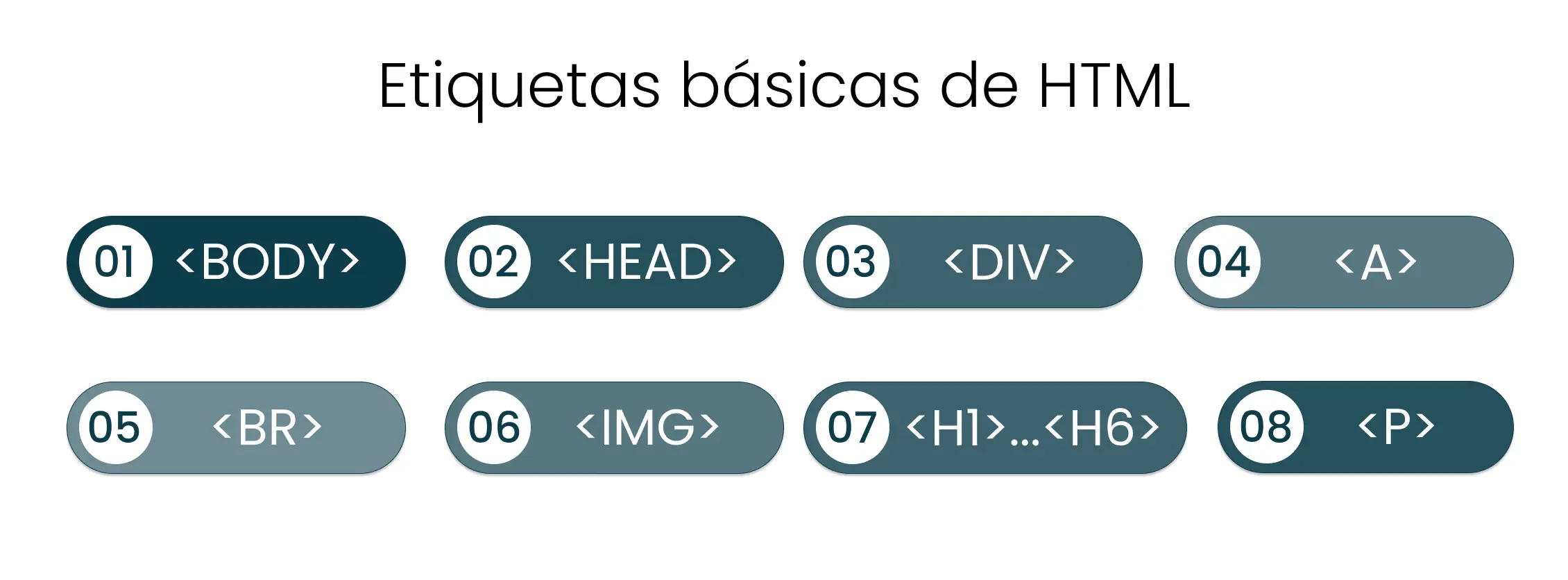 Etiquetas básicas de html