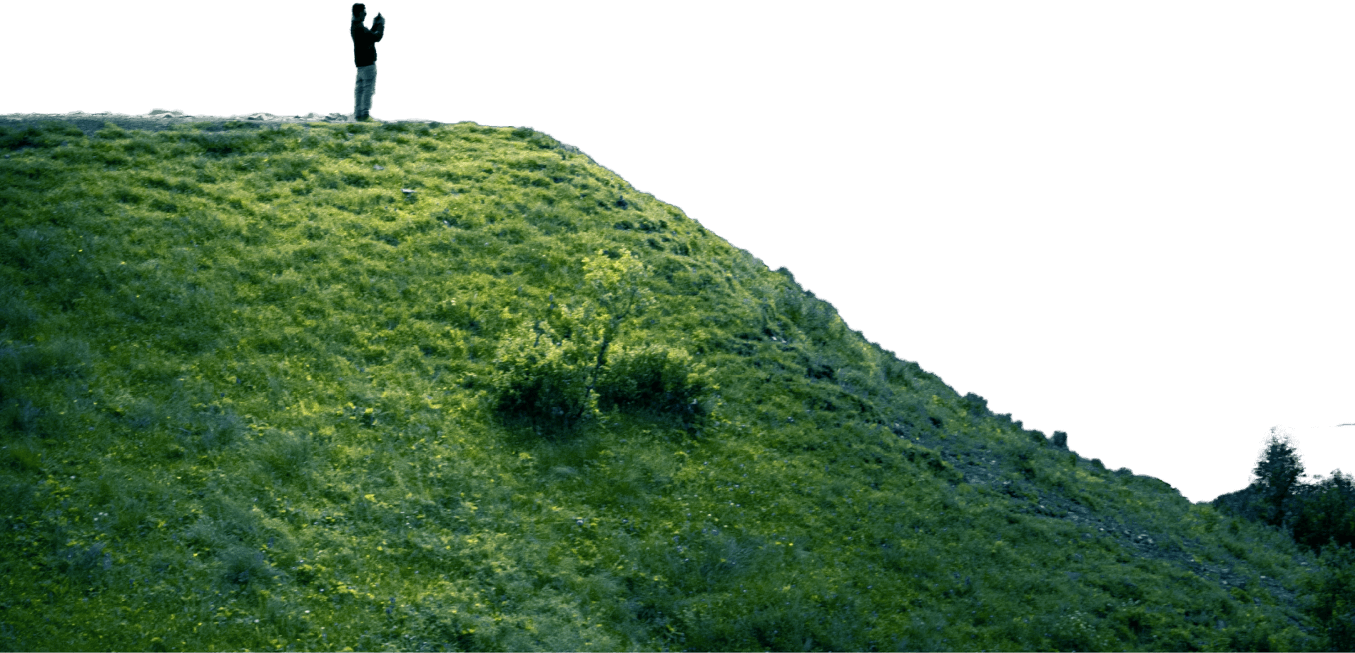 person standing on top of a mountain