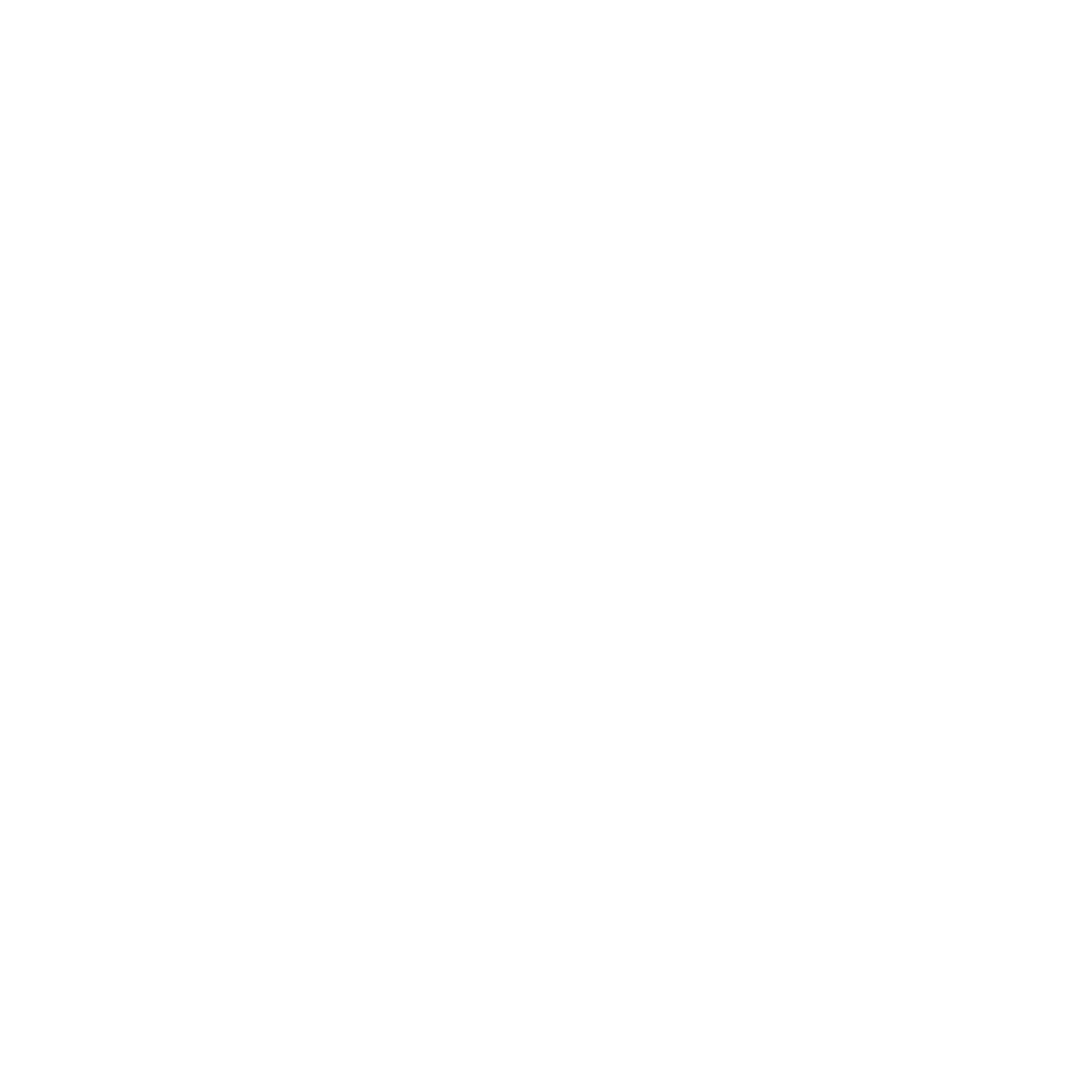 WildSide TV