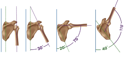Motion Plus Clinic M+ MONTHLY