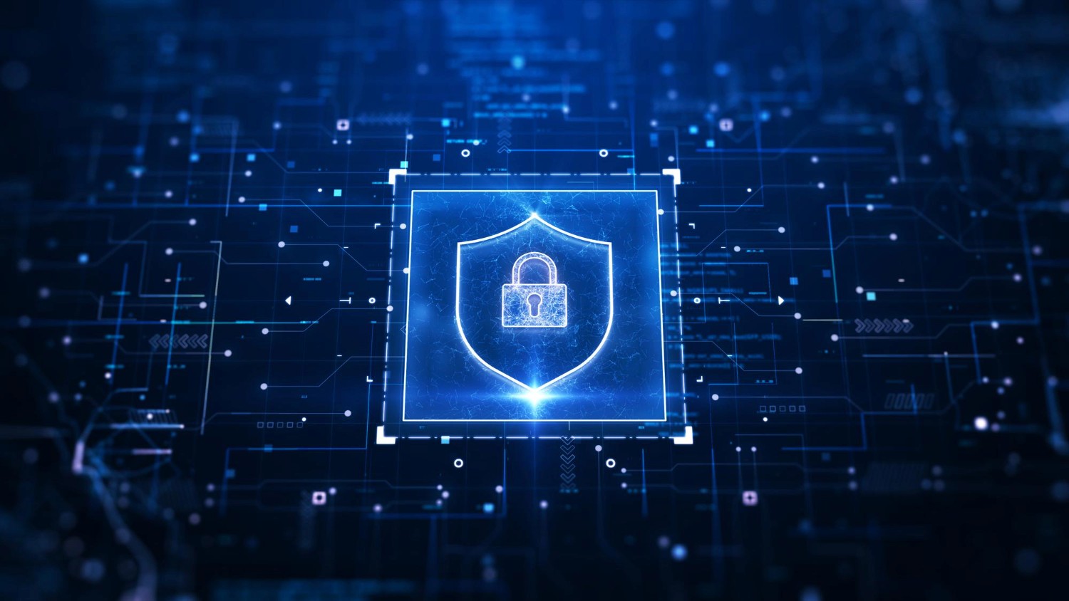 People in the office