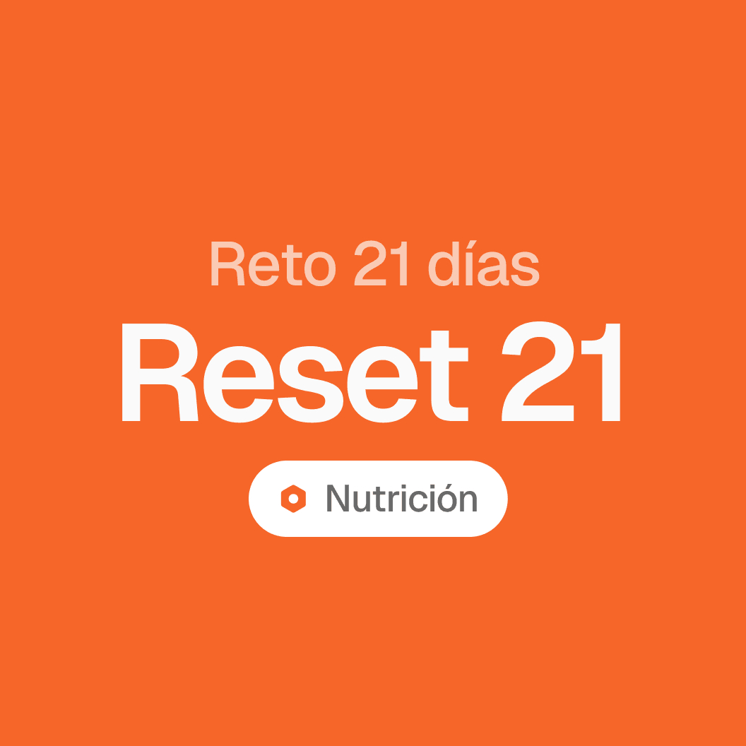 Smiling man with dreadlocks and glasses standing in a forest.