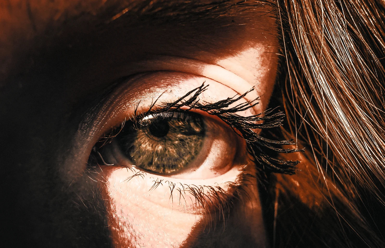 Macro of a green eye in sunlight