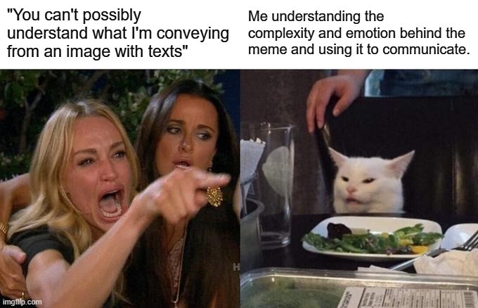 Meme in the ‘Woman yelling at Cat’ format, with the woman making an assertion, and the cat rebutting otherwise.