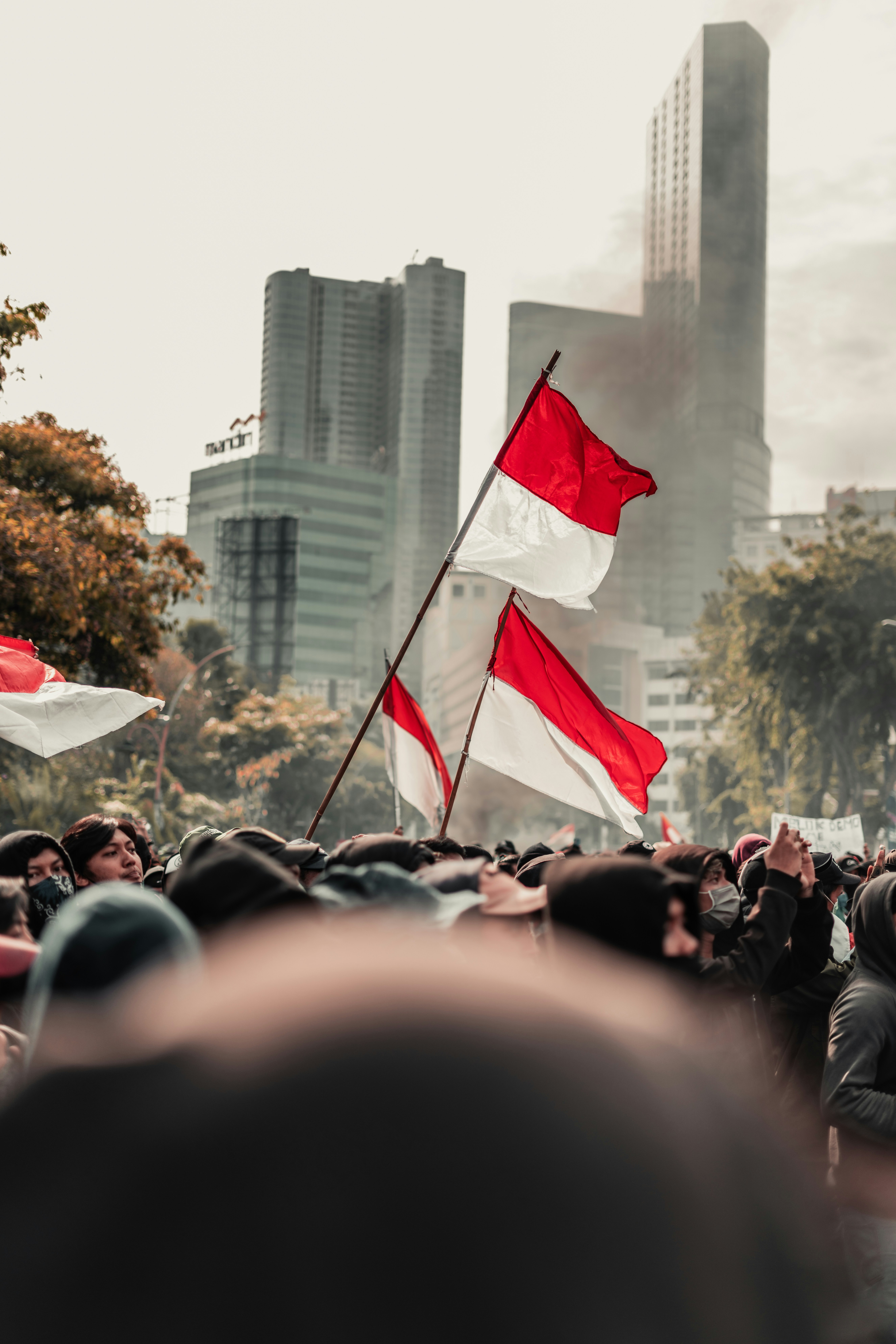 People protesting with flags