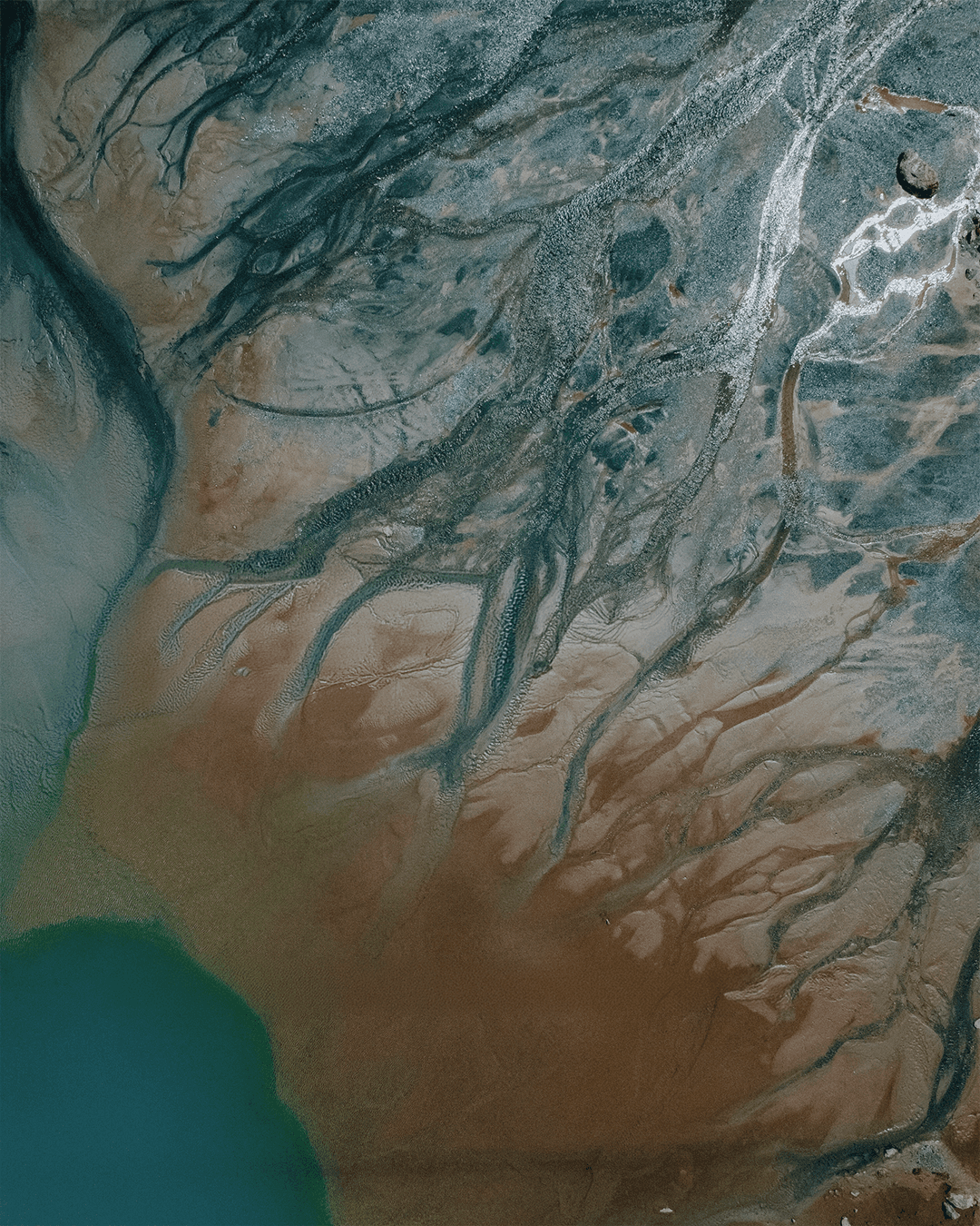 Hands pinning photographs on a white wall