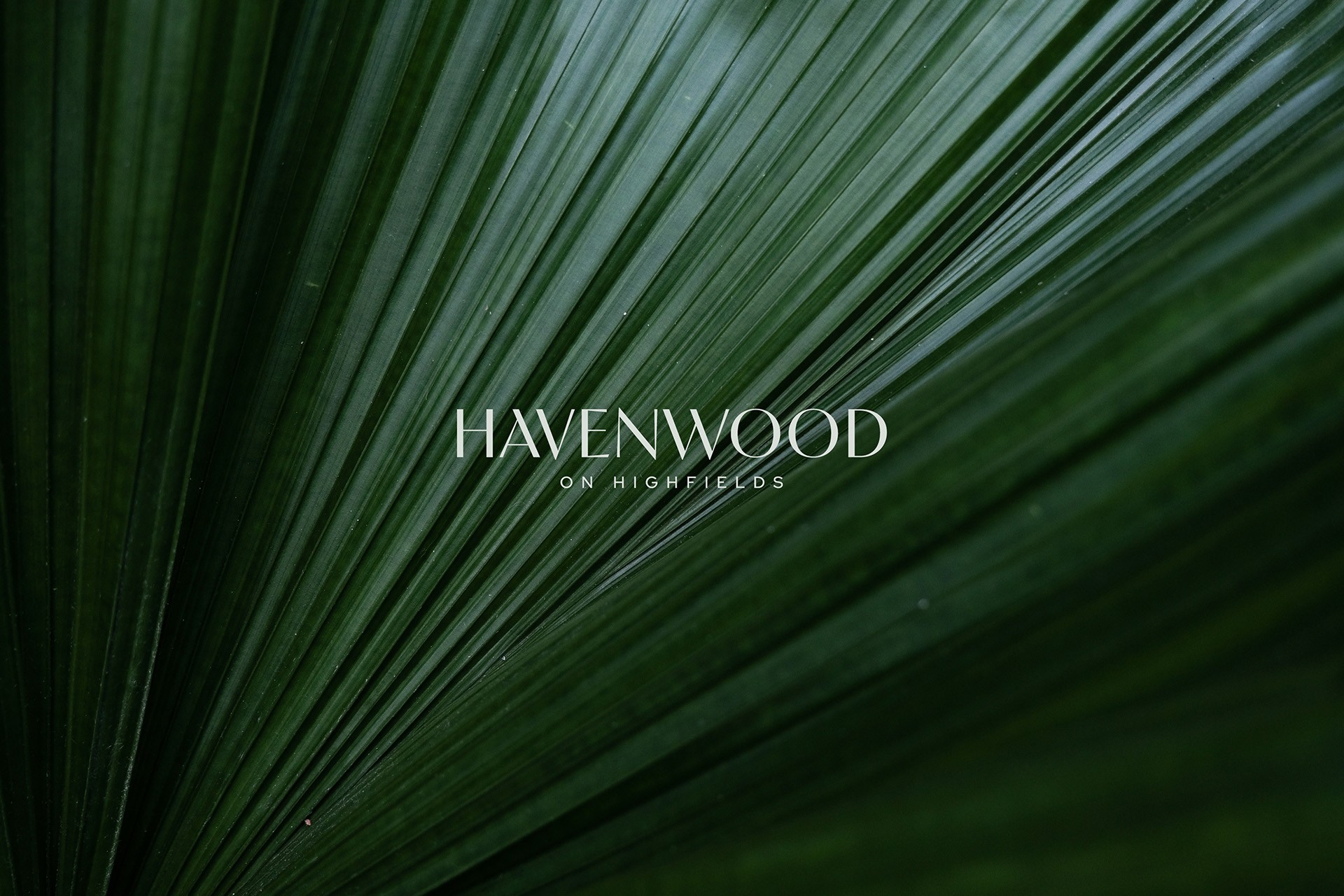 Project Cover Image