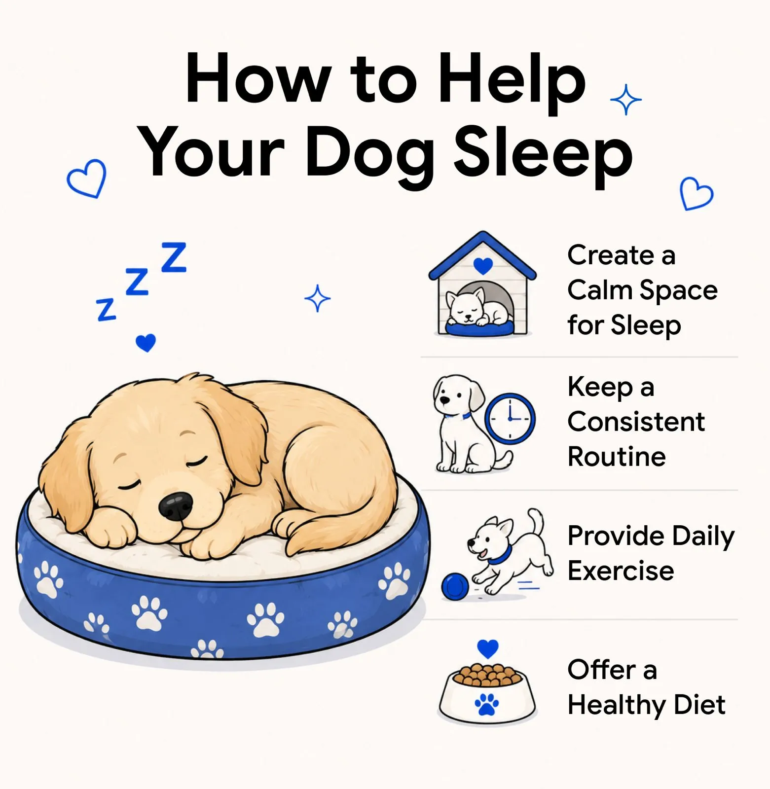 An infographic showing the ways to help your dog sleep better.