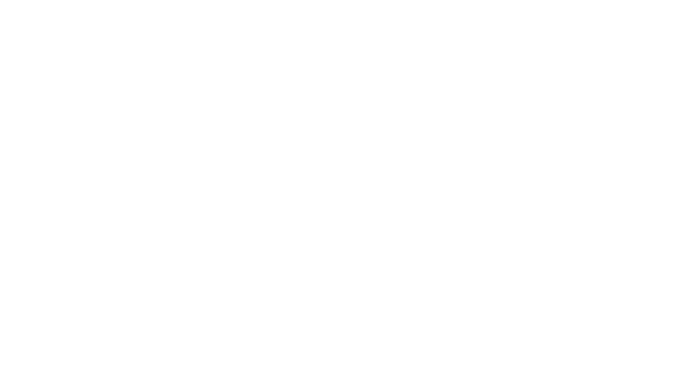 Travel Leaders Network
